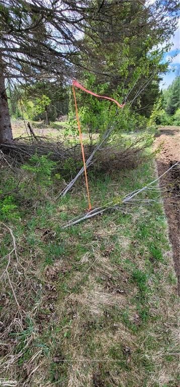 0 NORTH PICKEREL LAKE Road, Armour, ON P0A 1C0 photo 4