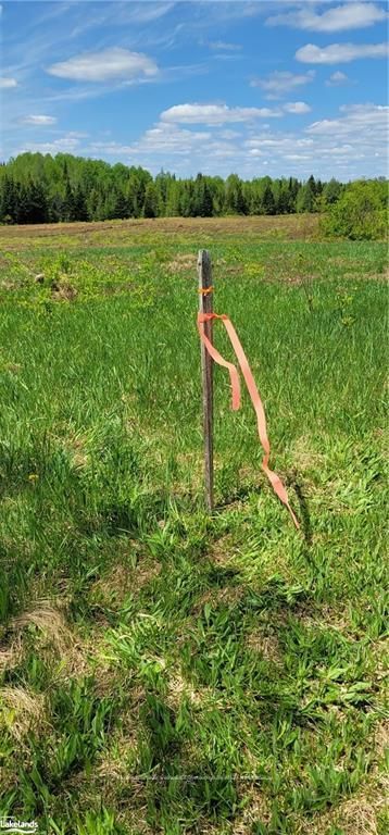 0 NORTH PICKEREL LAKE Road, Armour, ON P0A 1C0 photo 5
