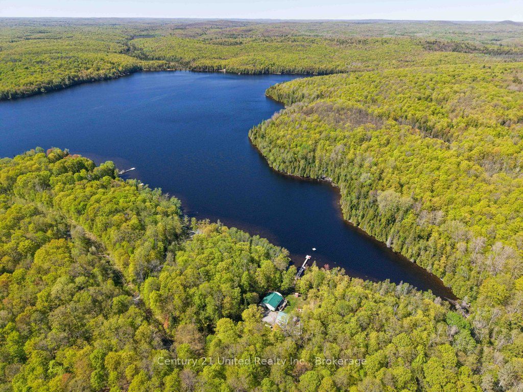 1120 Surveyor Drive, Highlands East, ON K0L 2Y0 photo 3