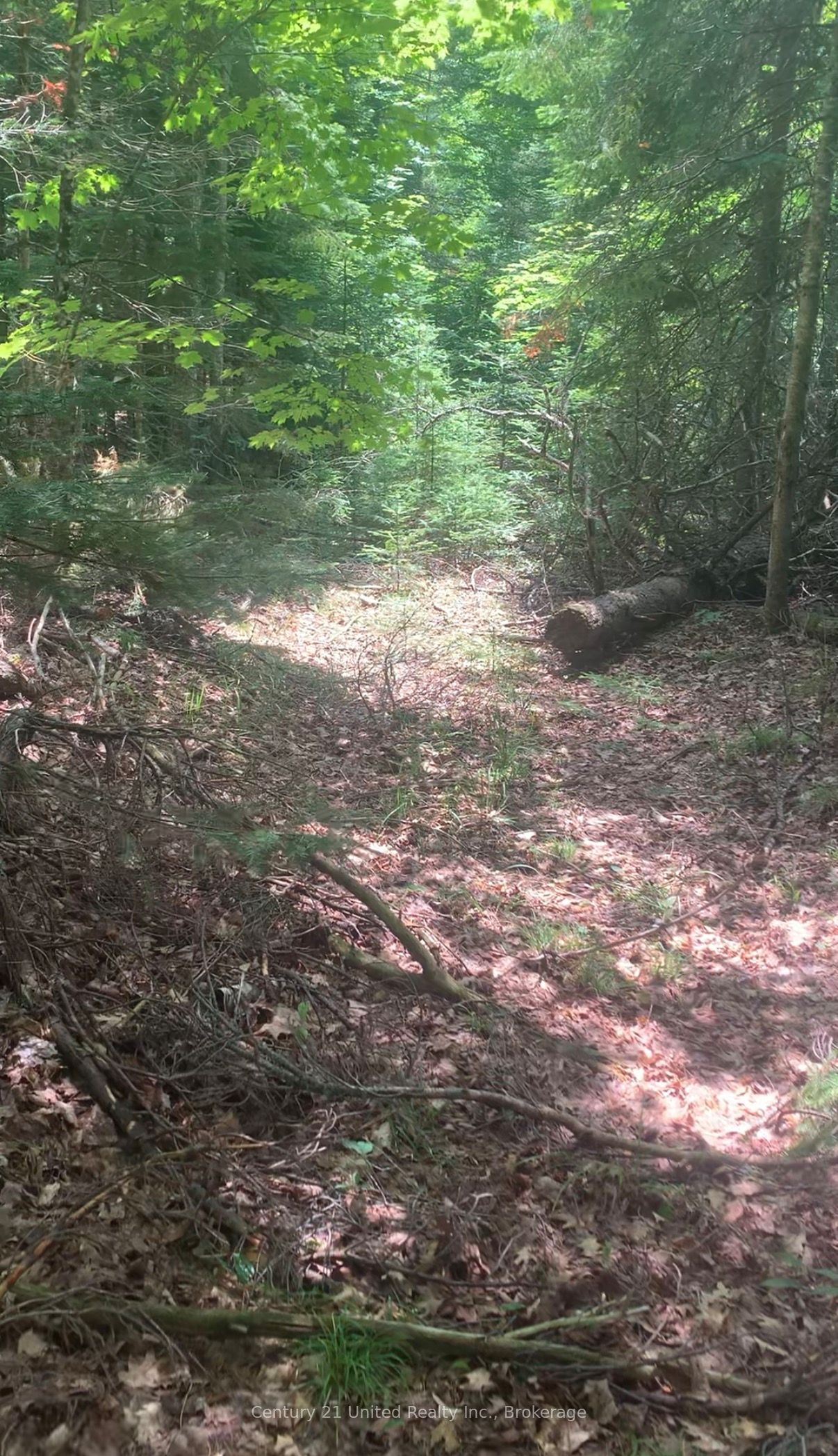 N/A Highway 28 (North Lot), Highlands East, ON K0L 1C0