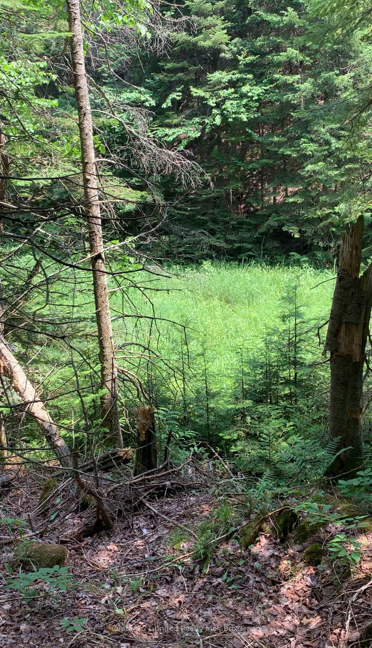 N/A Highway 28 (North Lot), Highlands East, ON K0L 1C0 photo 2