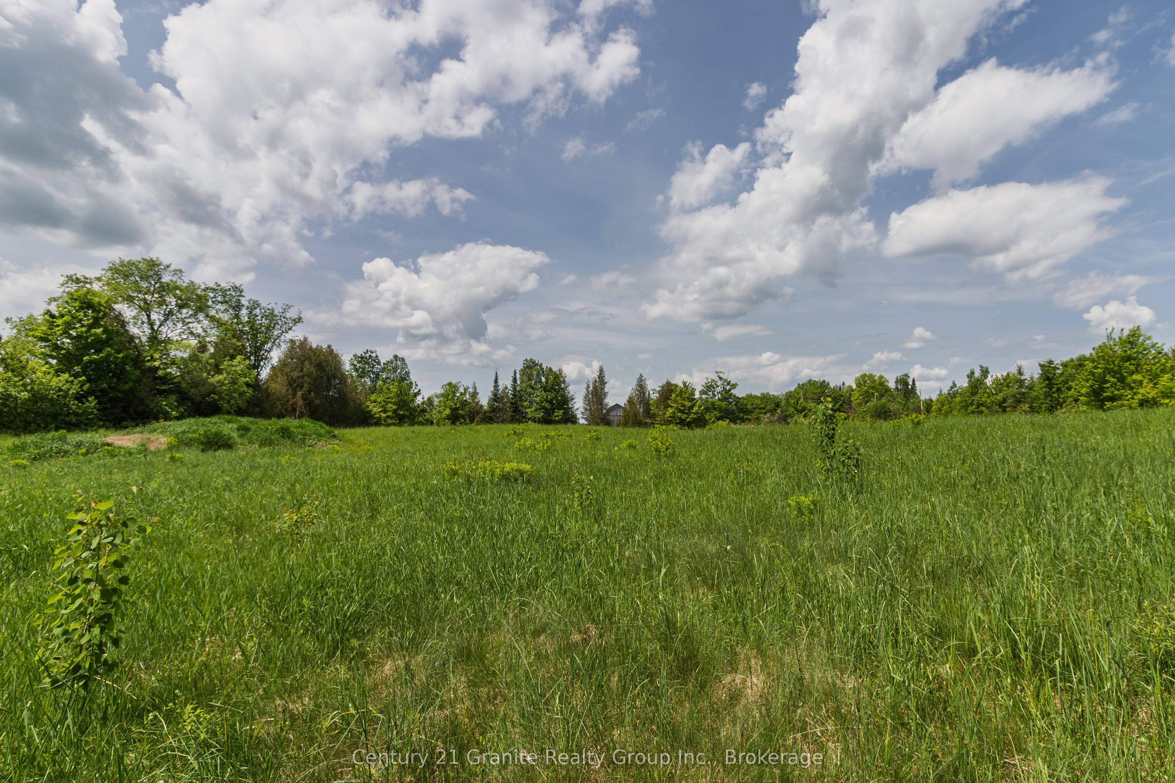 0 Highway 118, Highlands East, ON K0L 2Y0 photo 3