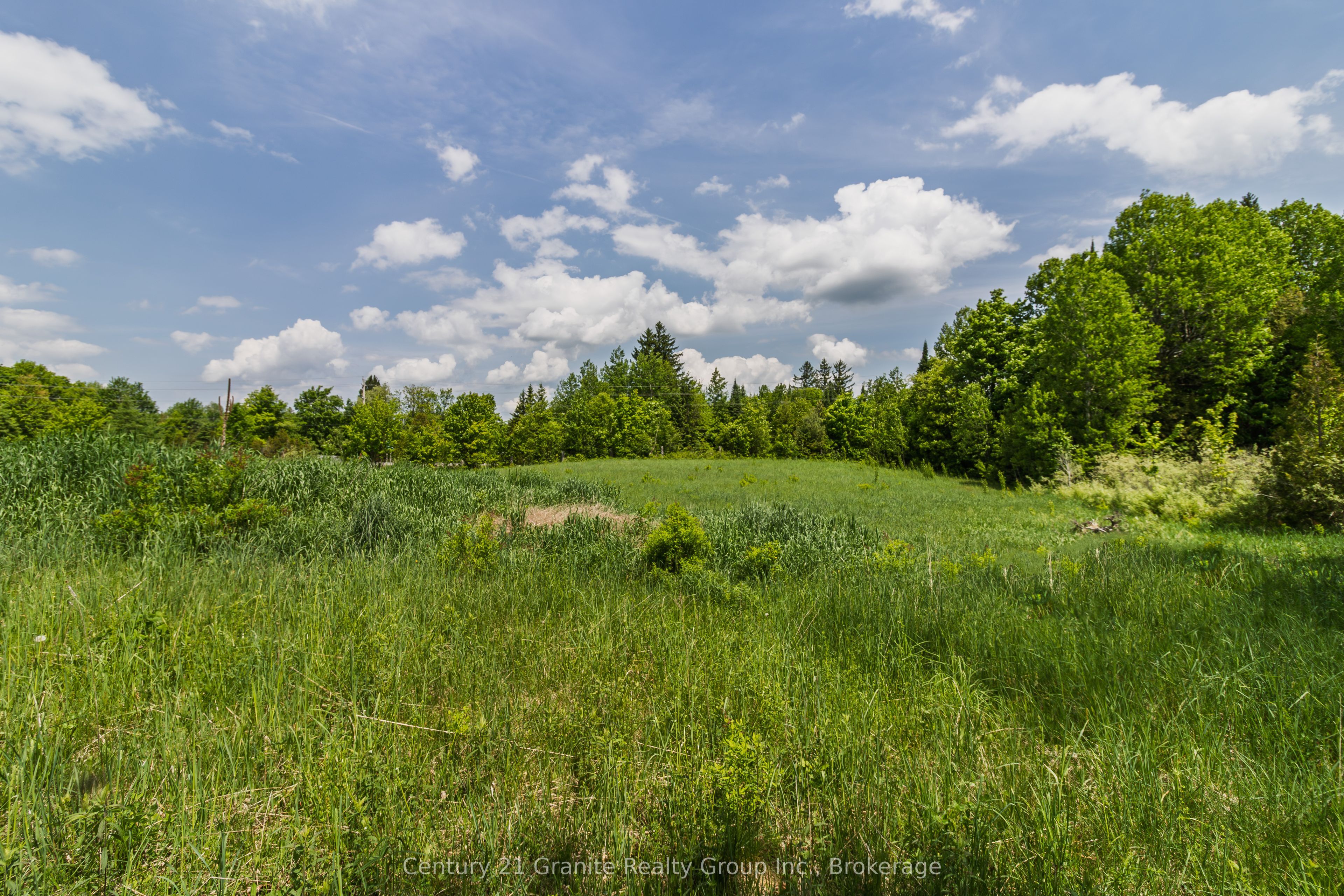0 Highway 118, Highlands East, ON K0L 2Y0 photo 4