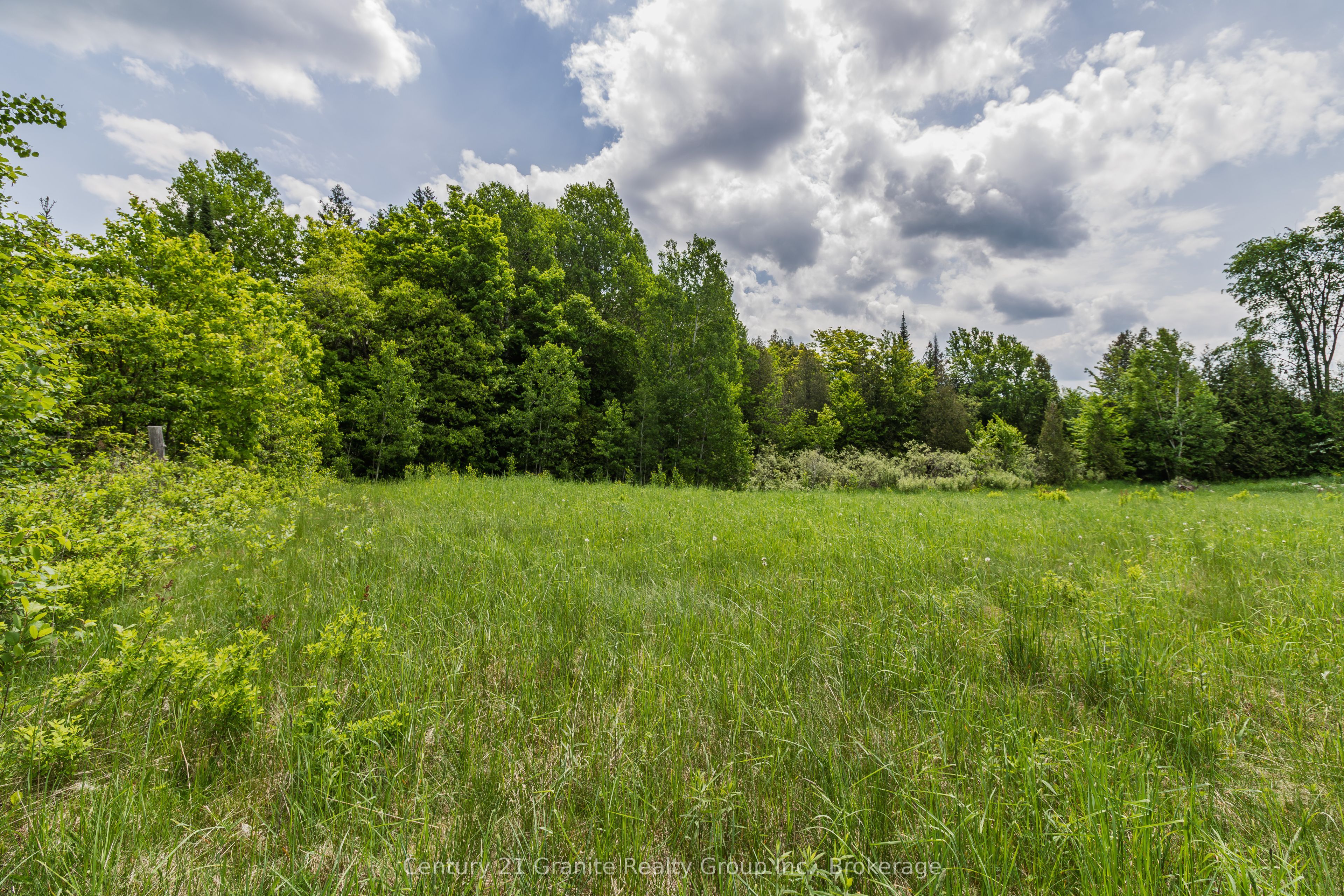0 Highway 118, Highlands East, ON K0L 2Y0 photo 5