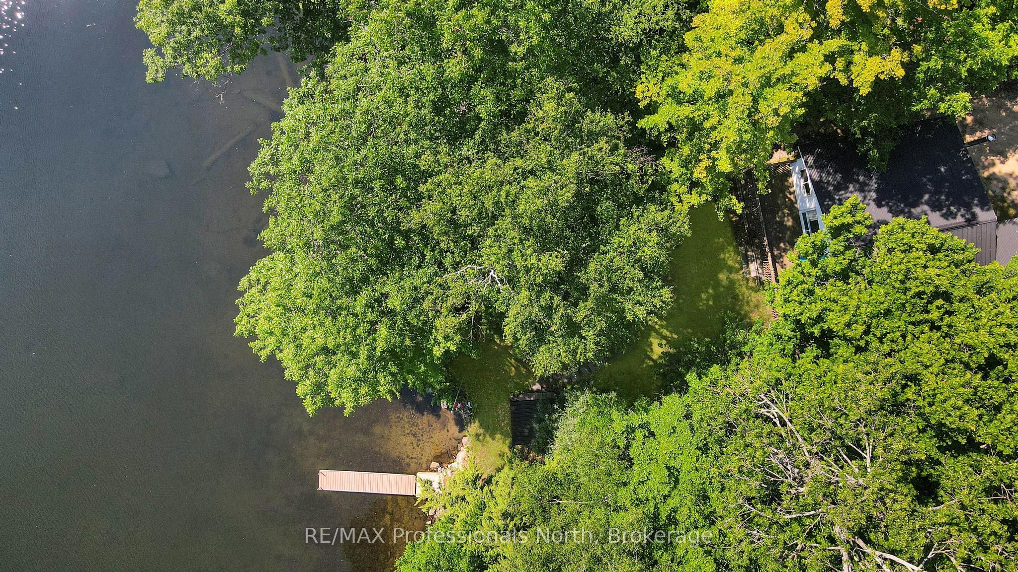 1005 Mohican Trail, Minden Hills, ON K0M 1S0 photo 3