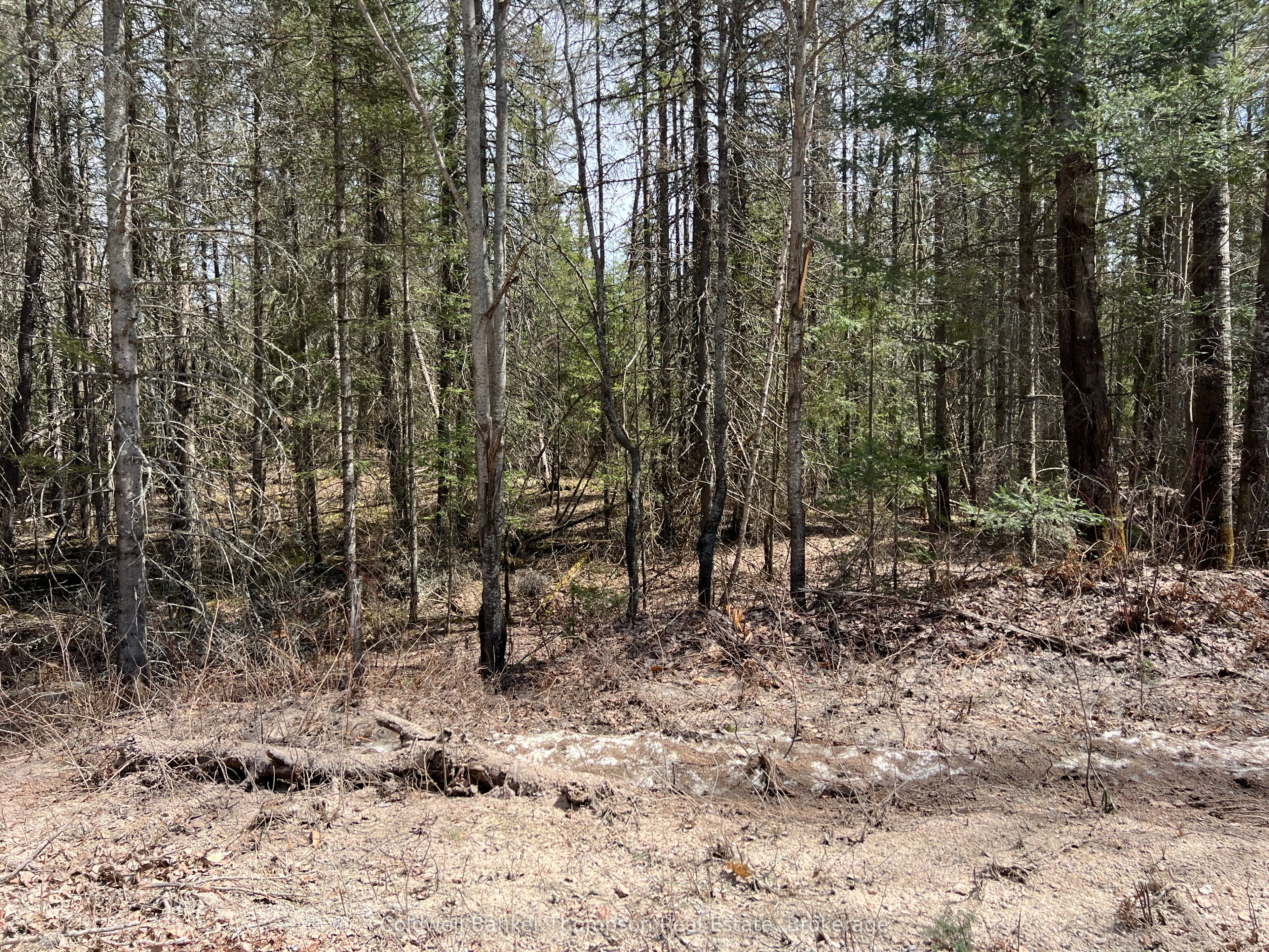 0 LOT 3 Sand Hill Road, Joly, ON P0A 1Z0 photo 3