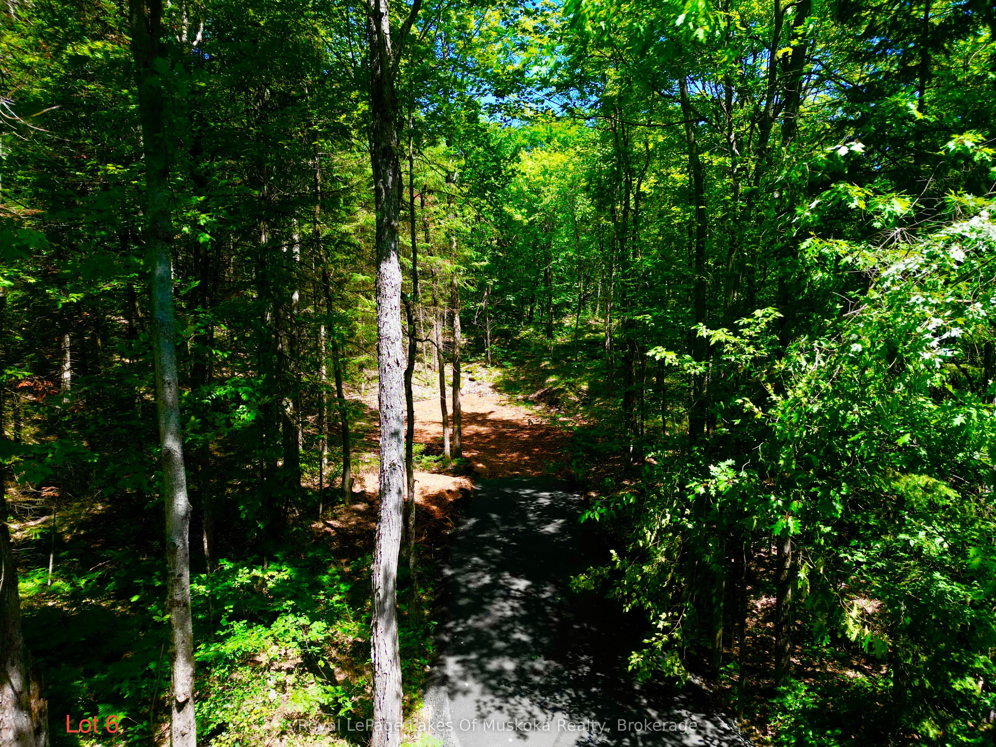 Lot 6 Fairy Falls Road, Lake of Bays, ON P0B 1A0