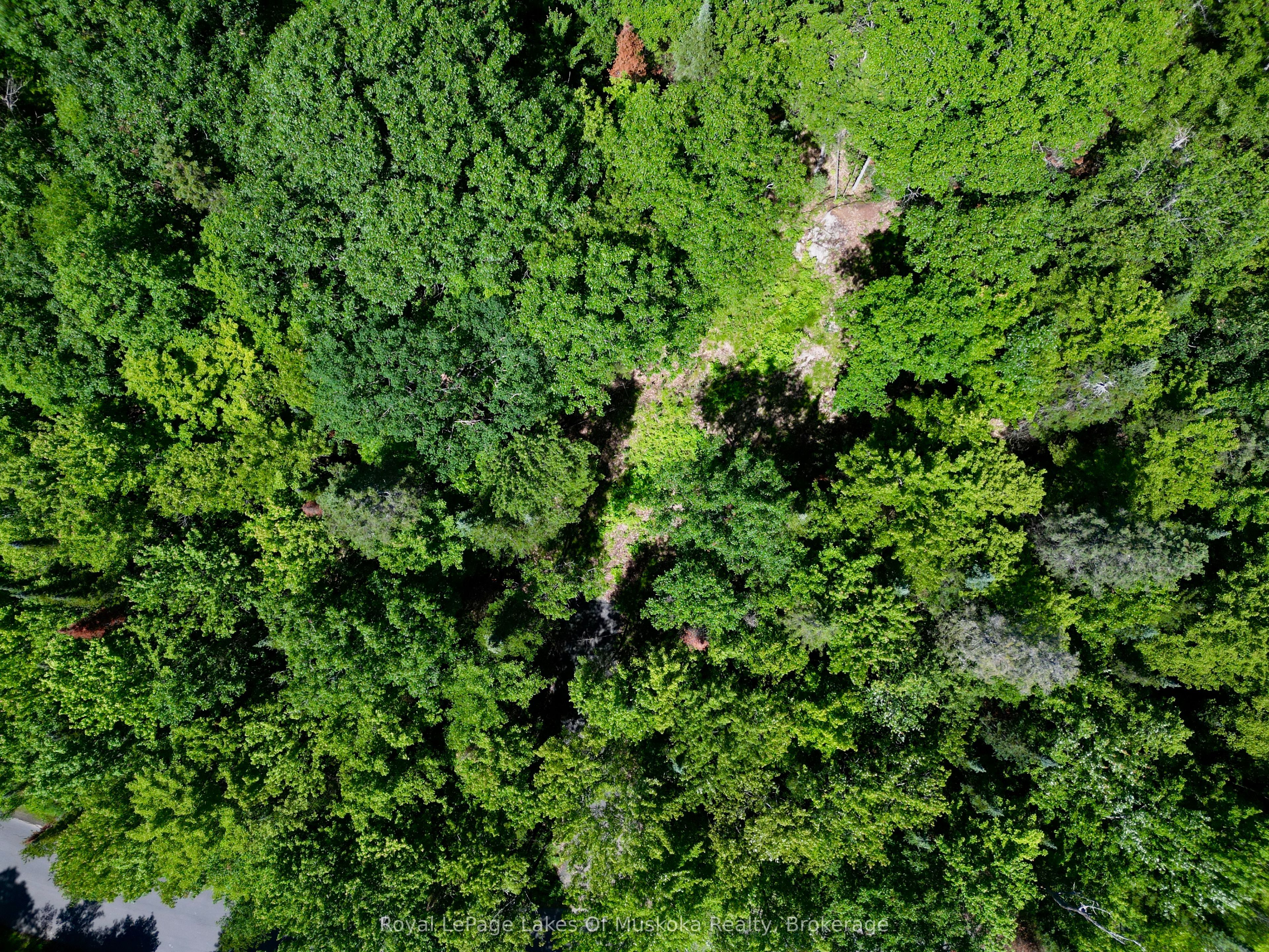 Lot 6 Fairy Falls Road, Lake of Bays, ON P0B 1A0 photo 3