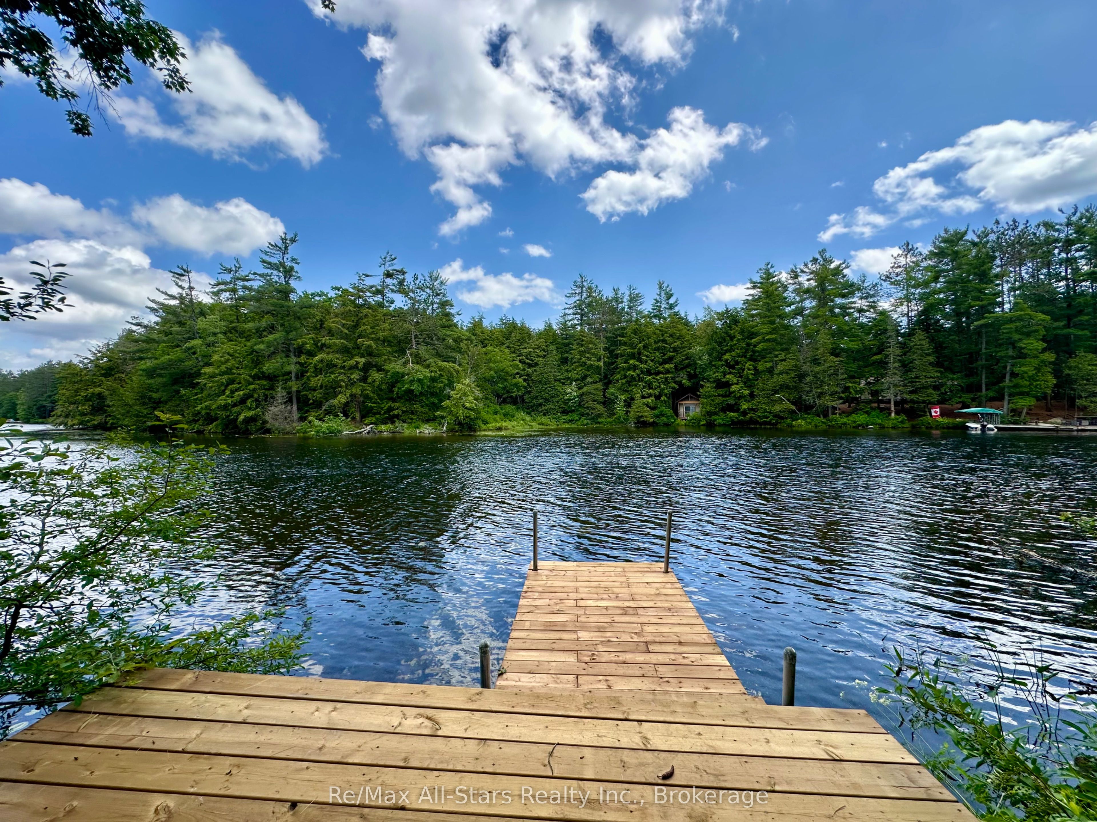 222 Mississagua Dam Road, Trent Lakes, ON K0L 1J0 photo 5
