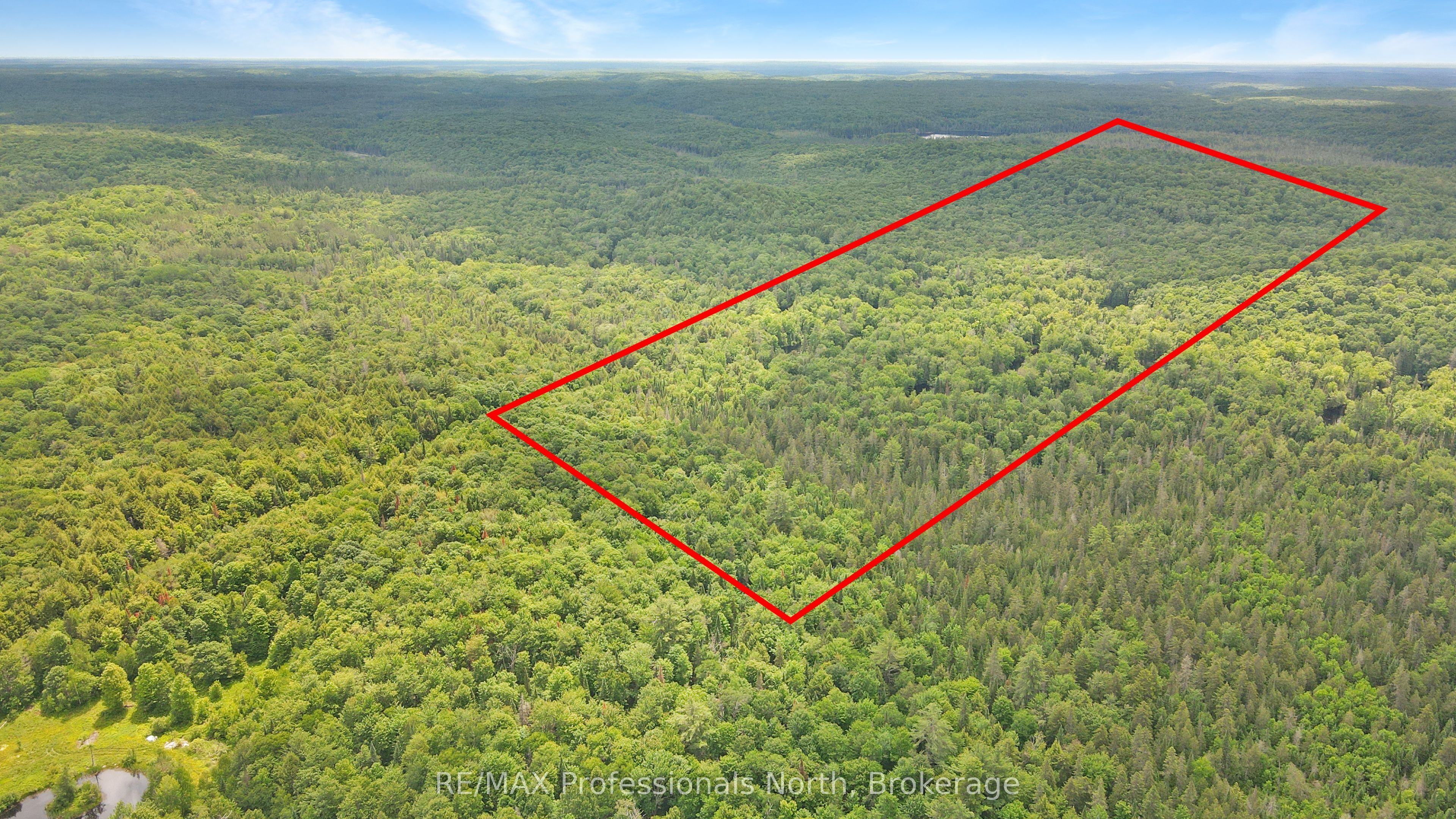 0 CON 4 LOT 16, Bracebridge, ON P1L 1S0 photo 5