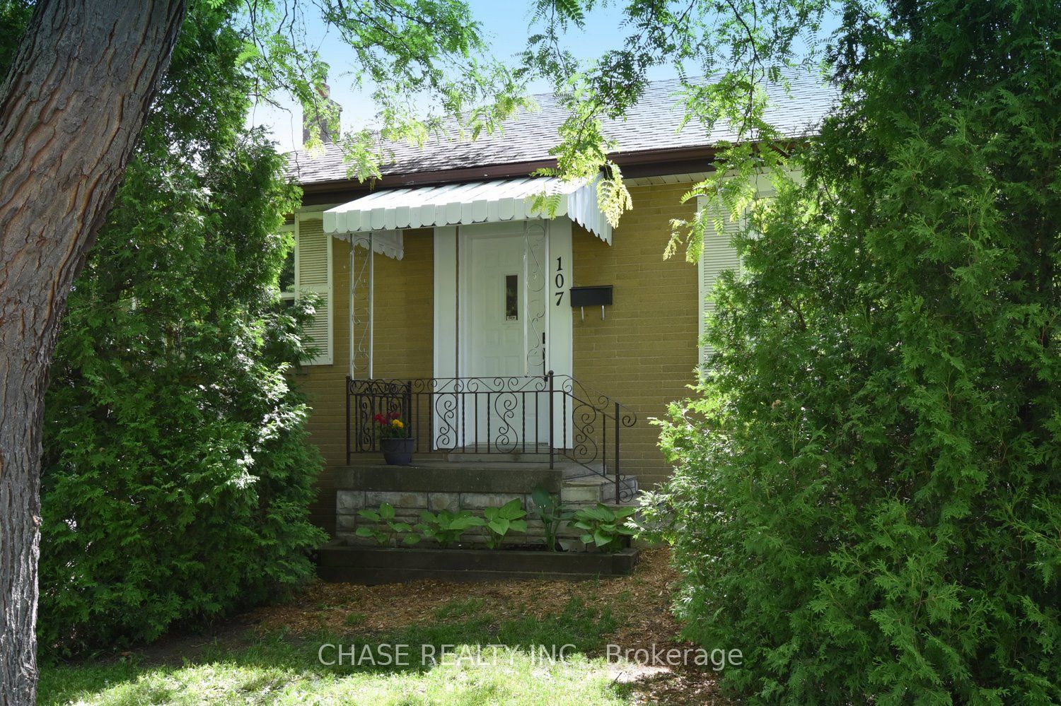 107 West 32nd Street, Hamilton, ON L9C 5G8 photo 2