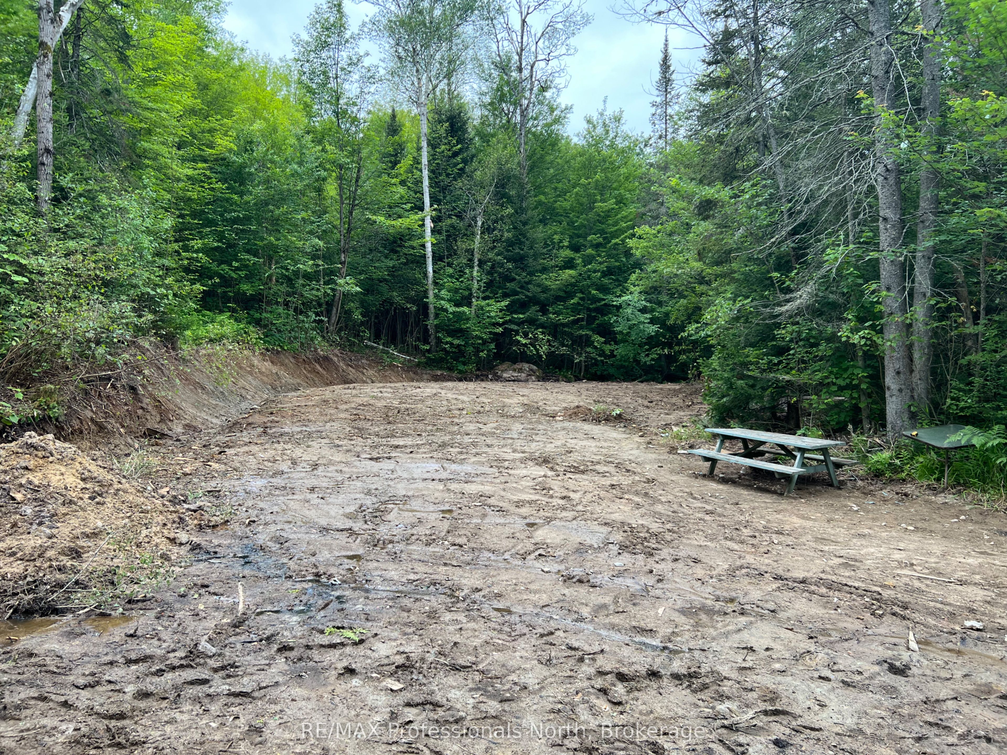 1291 Highway 520 N/A, Ryerson, ON P0A 1C0 photo 2