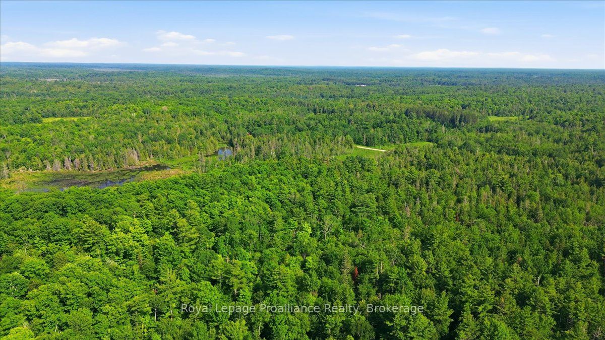 0 O'Donnell Road, Addington Highlands, ON K0H 2G0