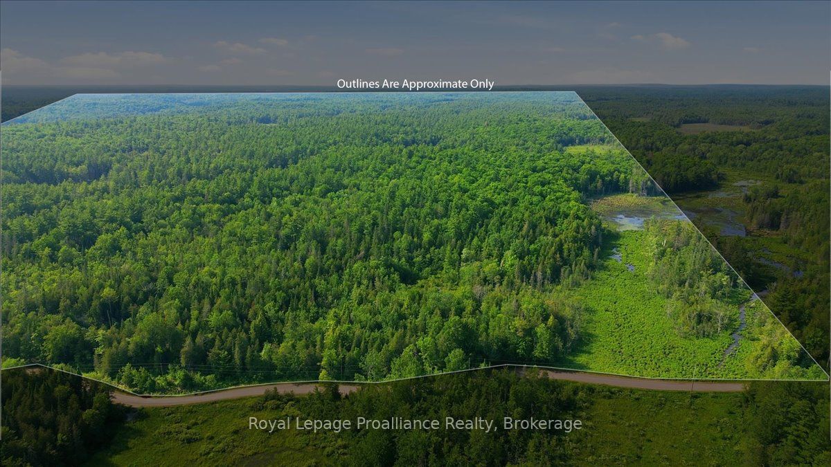 0 O'Donnell Road, Addington Highlands, ON K0H 2G0 photo 3