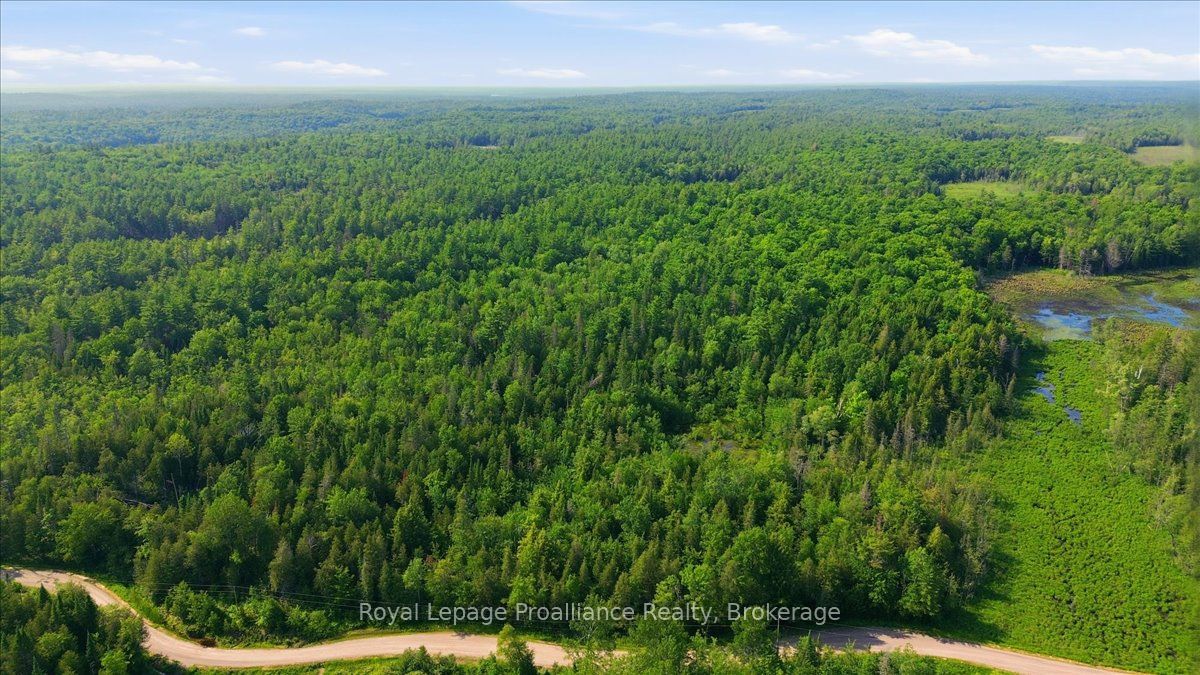 0 O'Donnell Road, Addington Highlands, ON K0H 2G0 photo 4