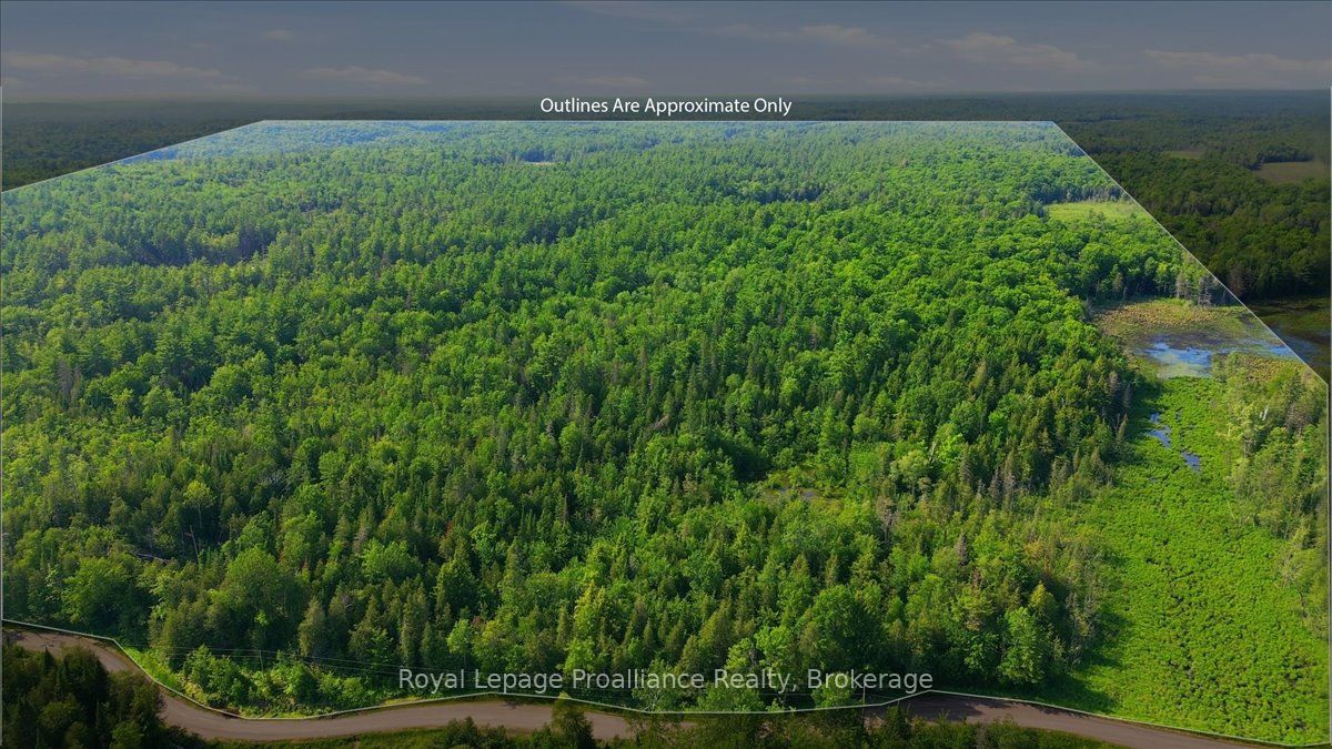 0 O'Donnell Road, Addington Highlands, ON K0H 2G0 photo 5
