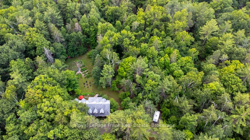 3719 County Rd 507 Road, Trent Lakes, ON K0L 1J0 photo 3