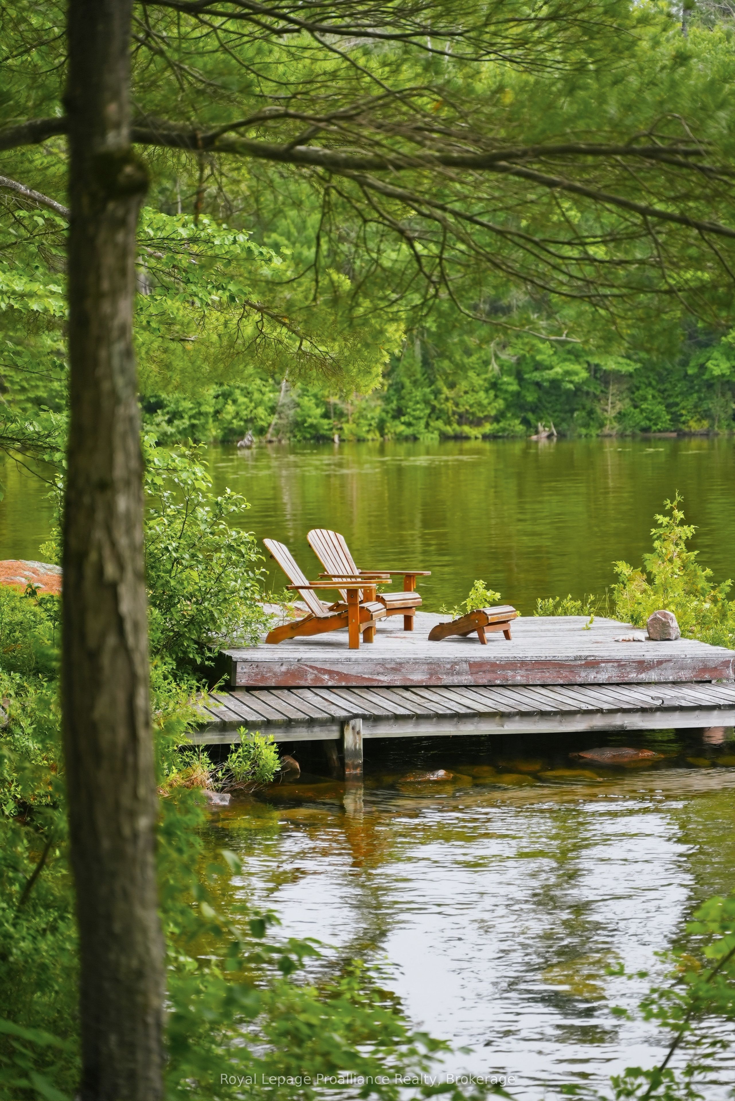 786 Mazinaw Lake N/A, Addington Highlands, ON K0H 1K0 photo 5