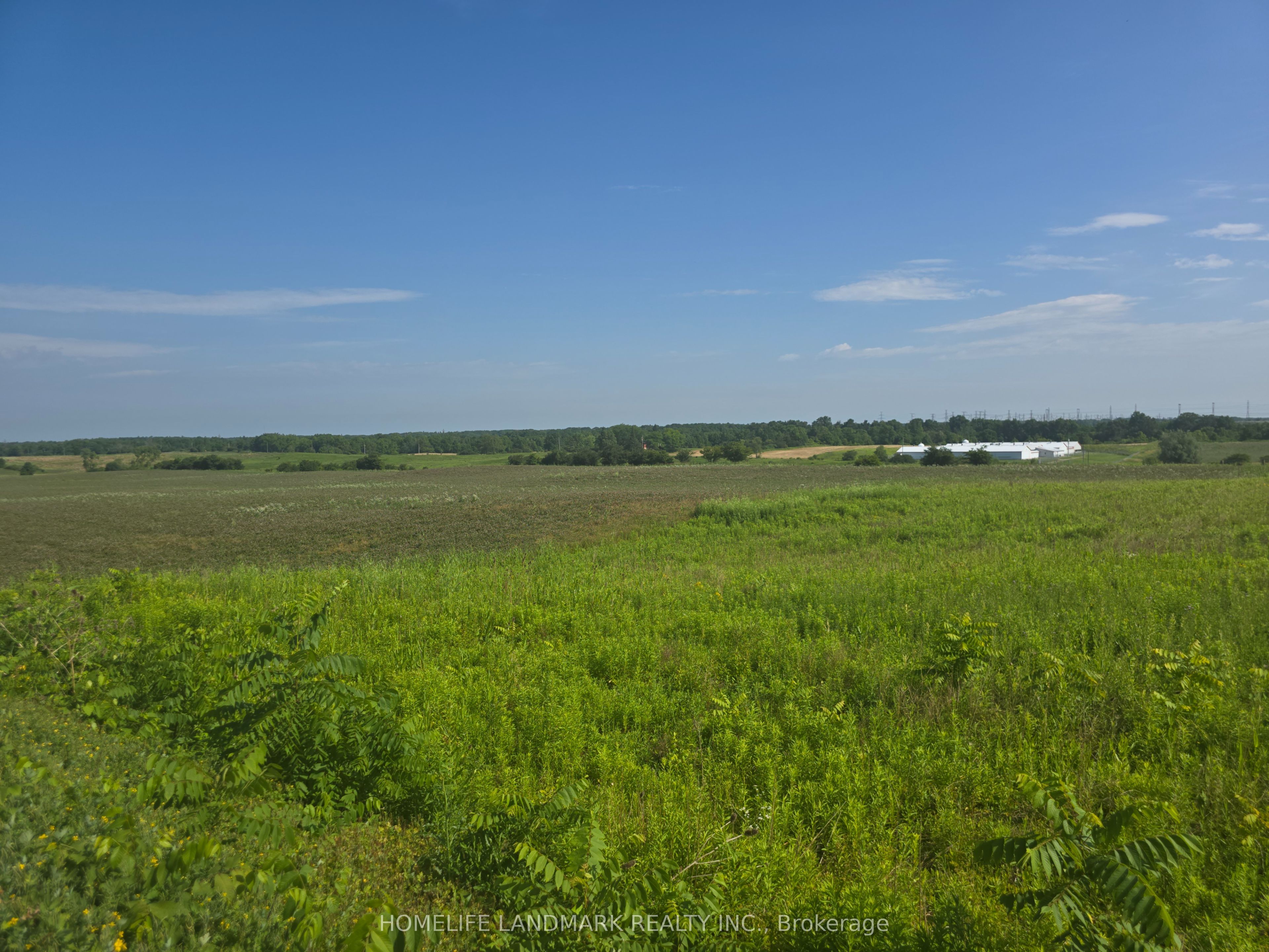5177 Hwy #6, Haldimand, ON N3W 1Z8