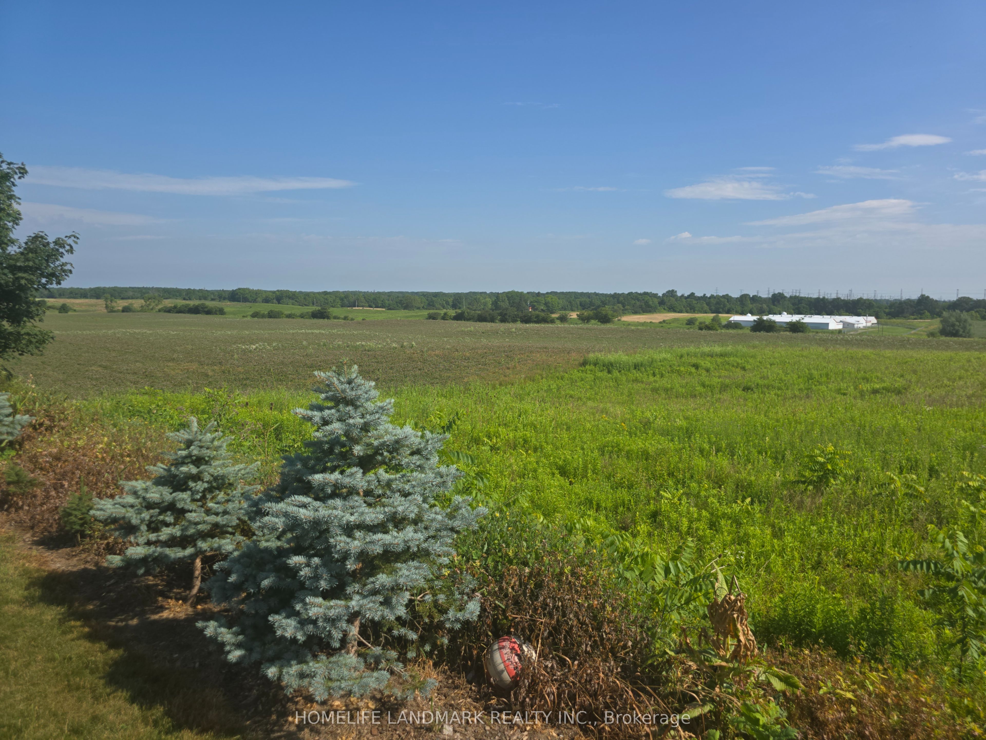 5177 Hwy #6, Haldimand, ON N3W 1Z8 photo 2