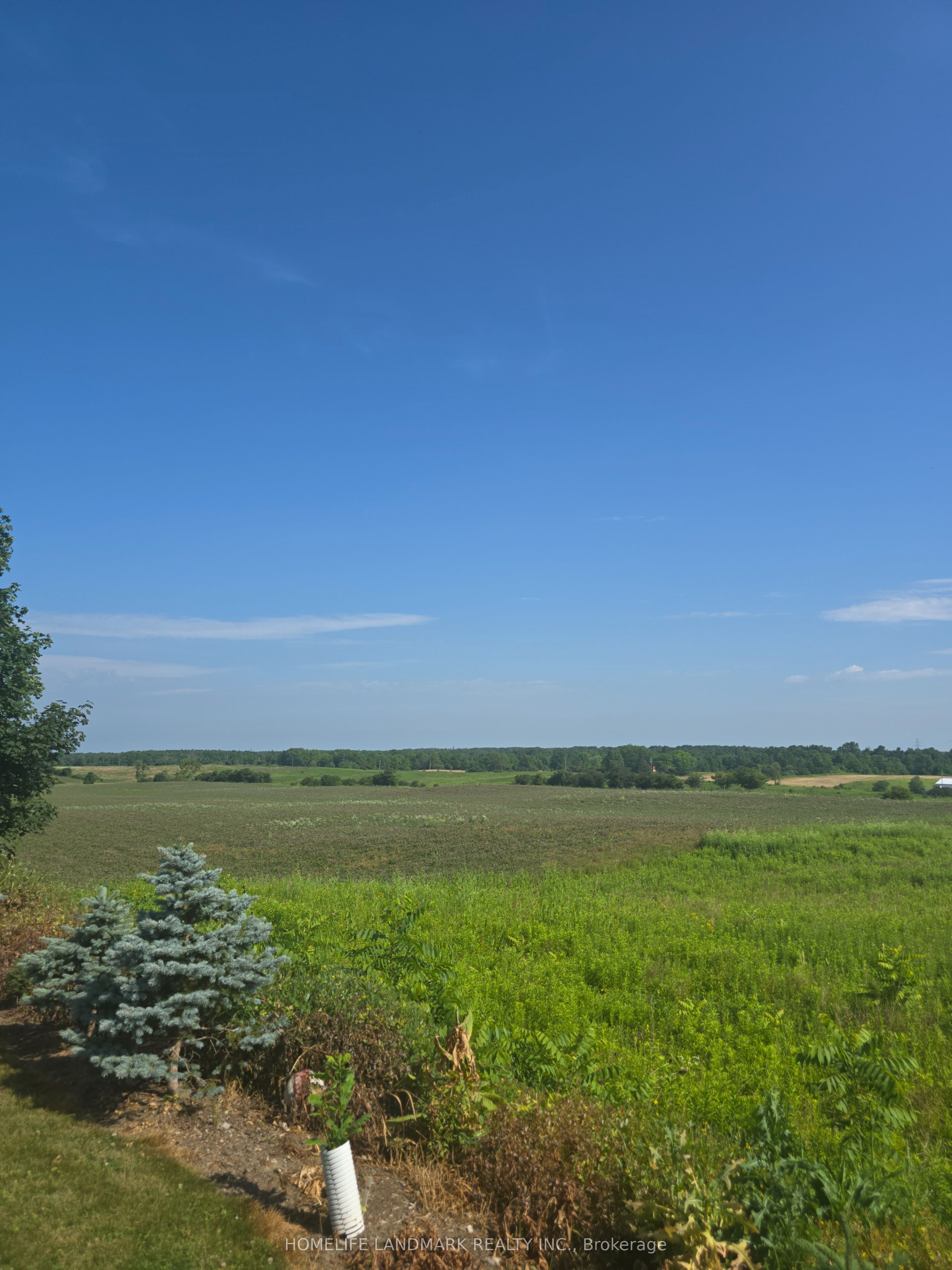 5177 Hwy #6, Haldimand, ON N3W 1Z8 photo 3