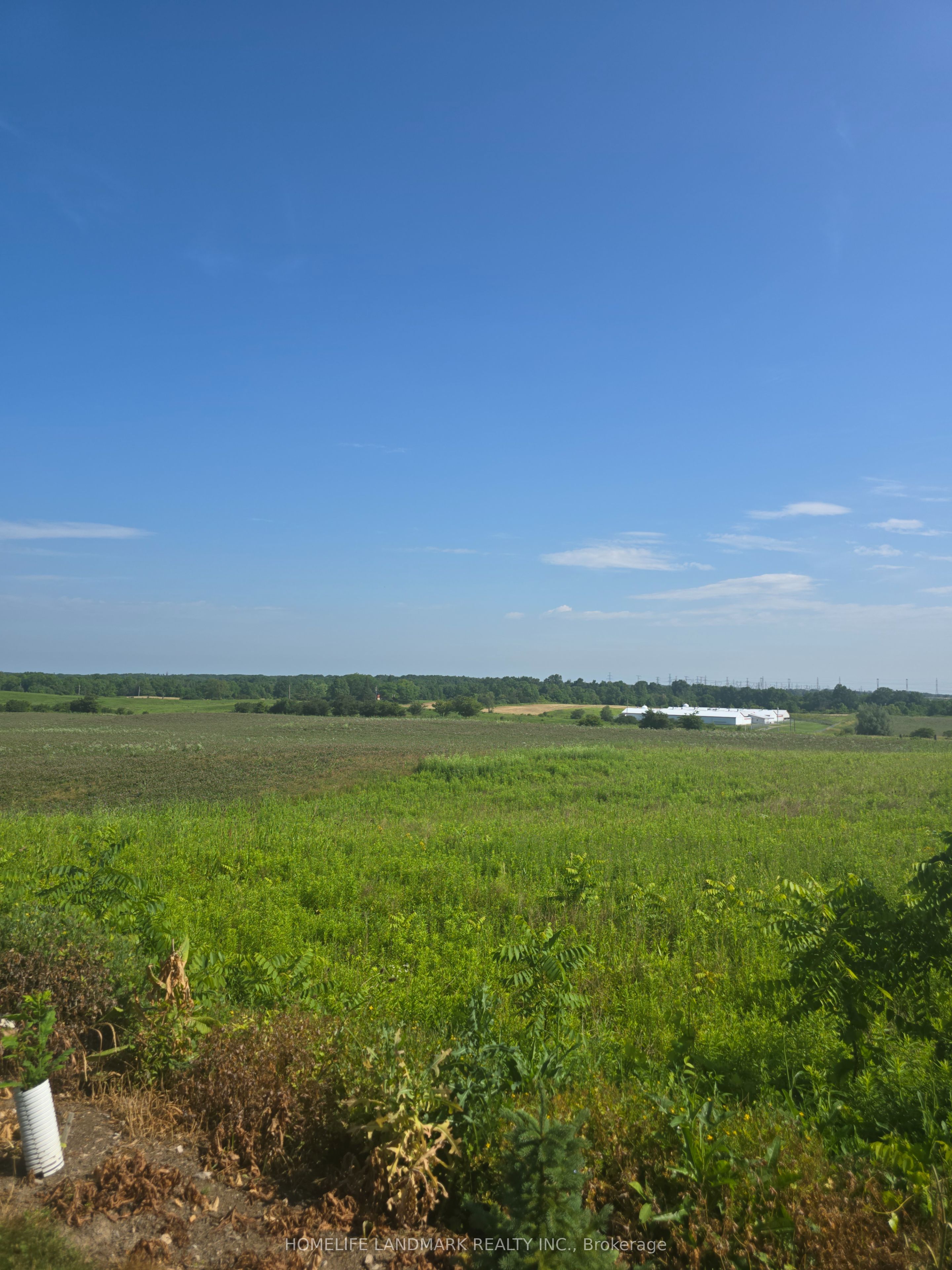 5177 Hwy #6, Haldimand, ON N3W 1Z8 photo 4