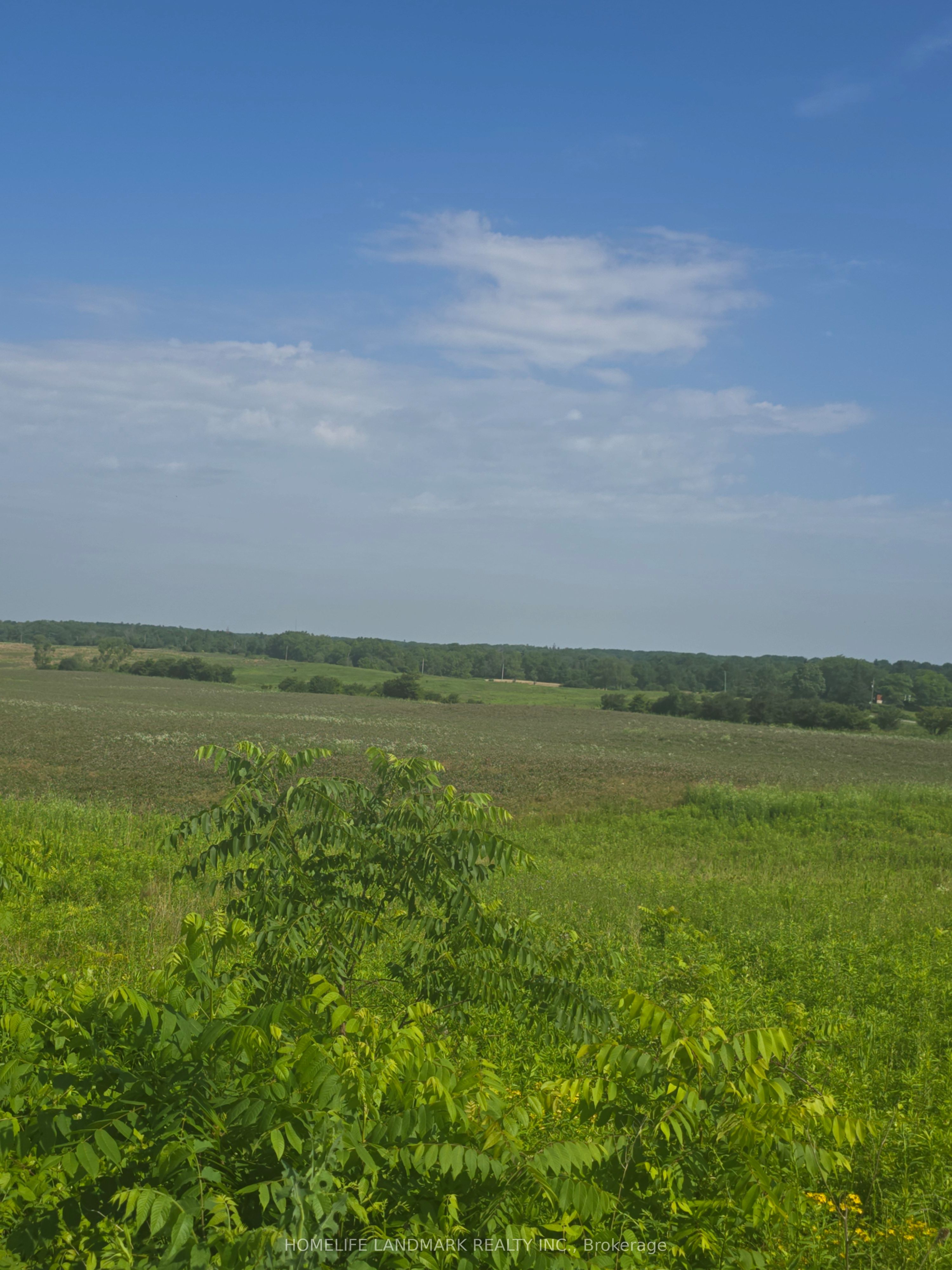 5177 Hwy #6, Haldimand, ON N3W 1Z8 photo 5