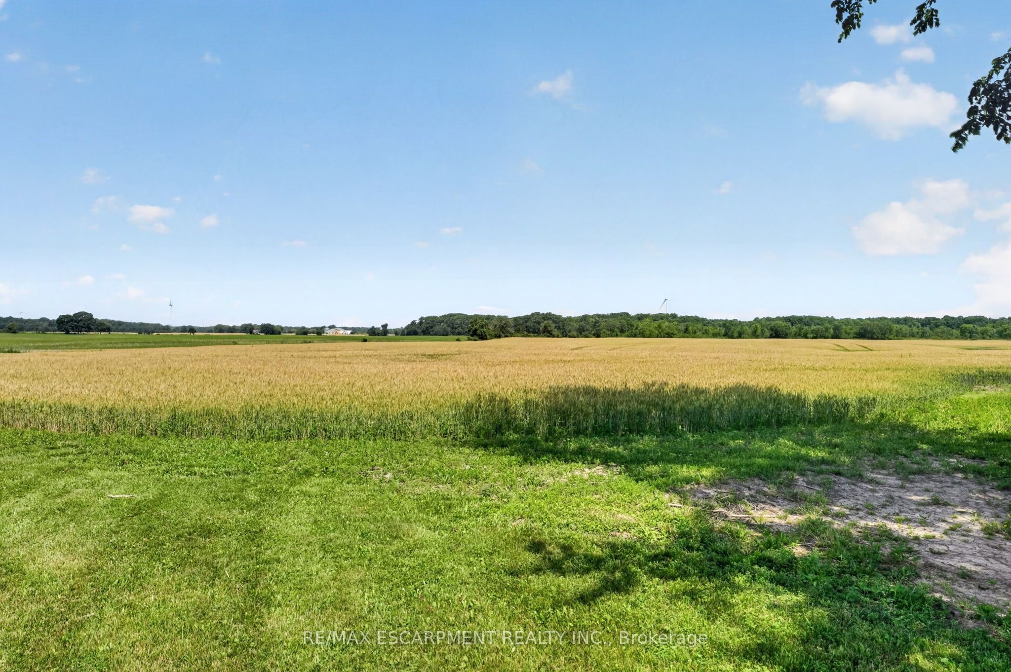 4373 Regional Road 20 N/A, West Lincoln, ON L0R 1Y0 photo 5