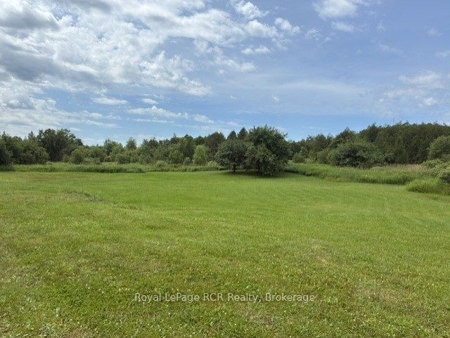 382162 E Concession 17 Road E, Georgian Bluffs, ON N0H 2T0 photo 5