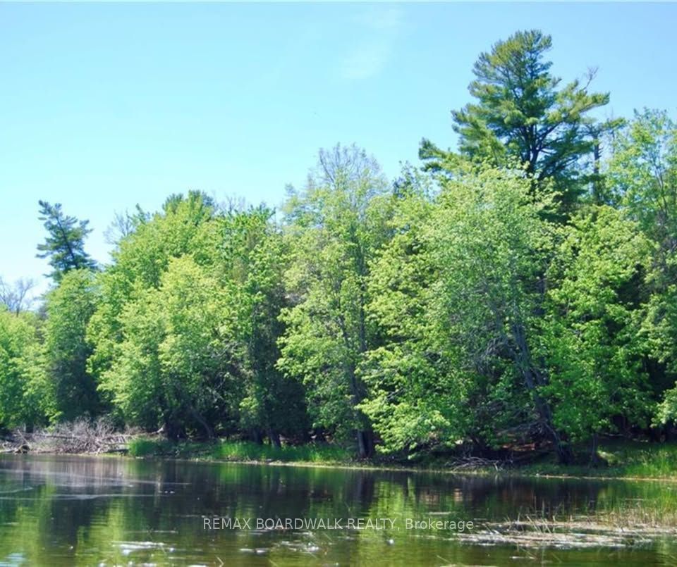 0 Stewart's Island, Drummond/North Elmsley, ON K0G 1A0 photo 2