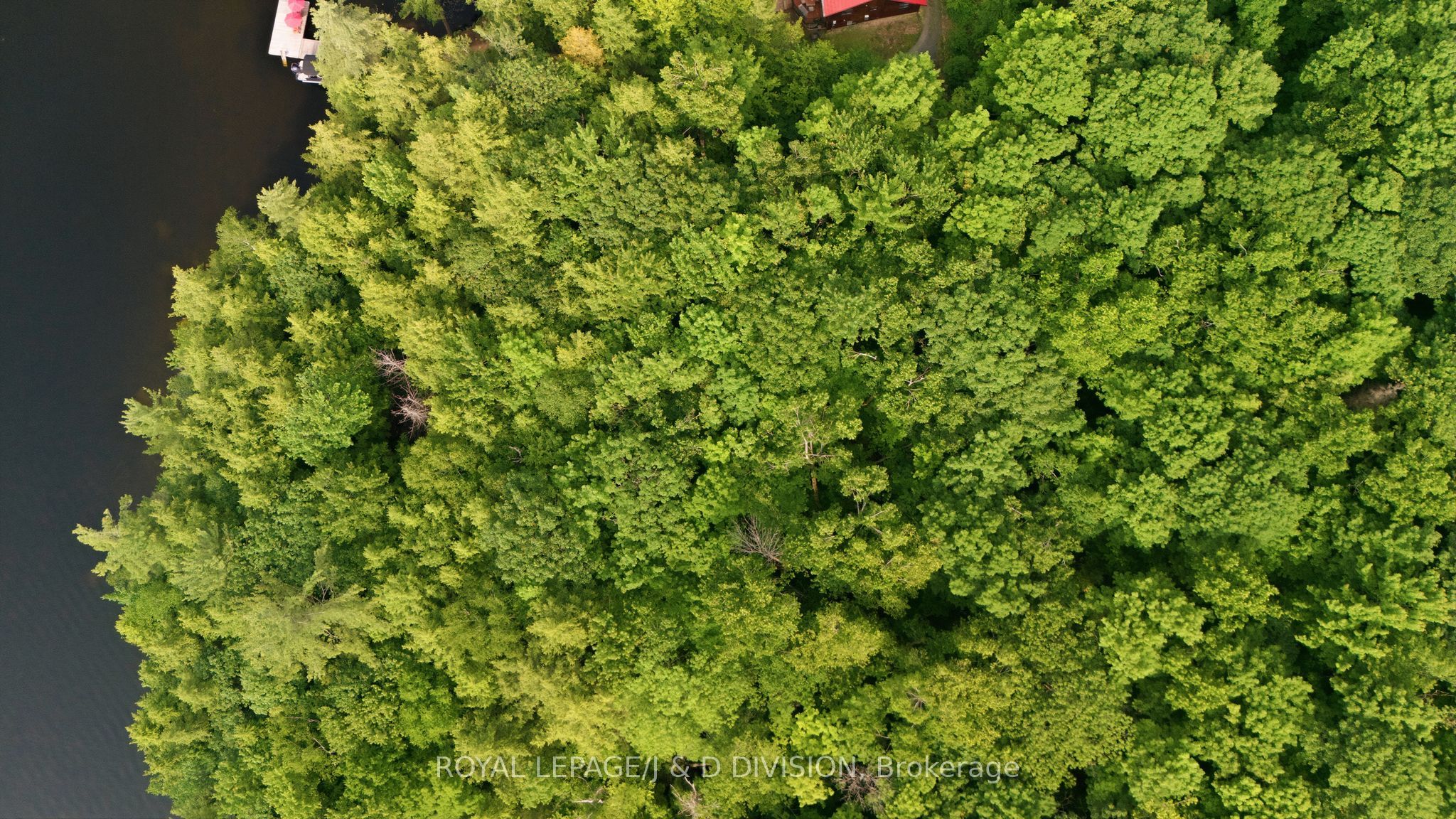 188 Blackstone Lake, Water N/A, The Archipelago, ON P2A 0B7 photo 4