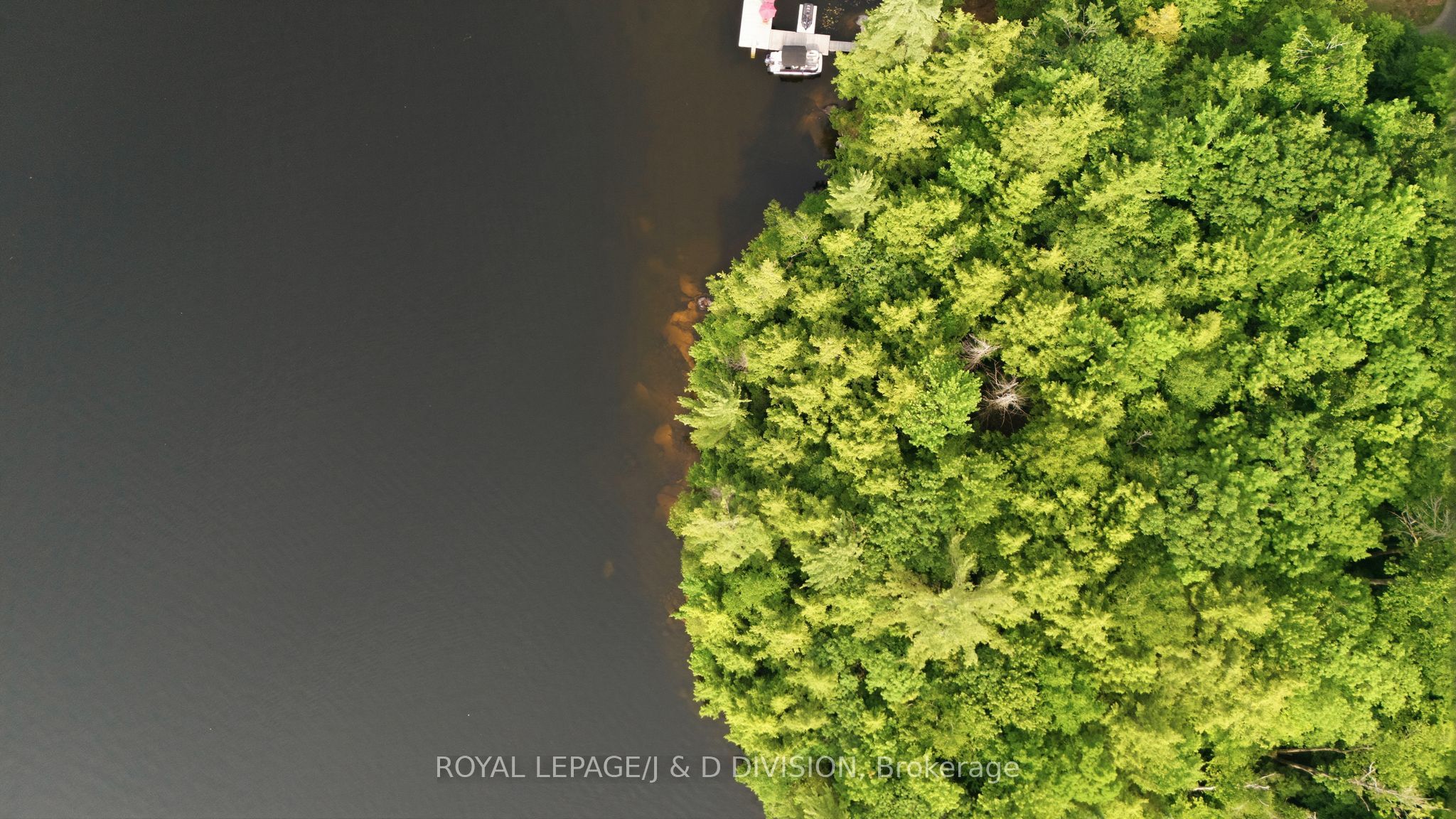 188 Blackstone Lake, Water N/A, The Archipelago, ON P2A 0B7 photo 5