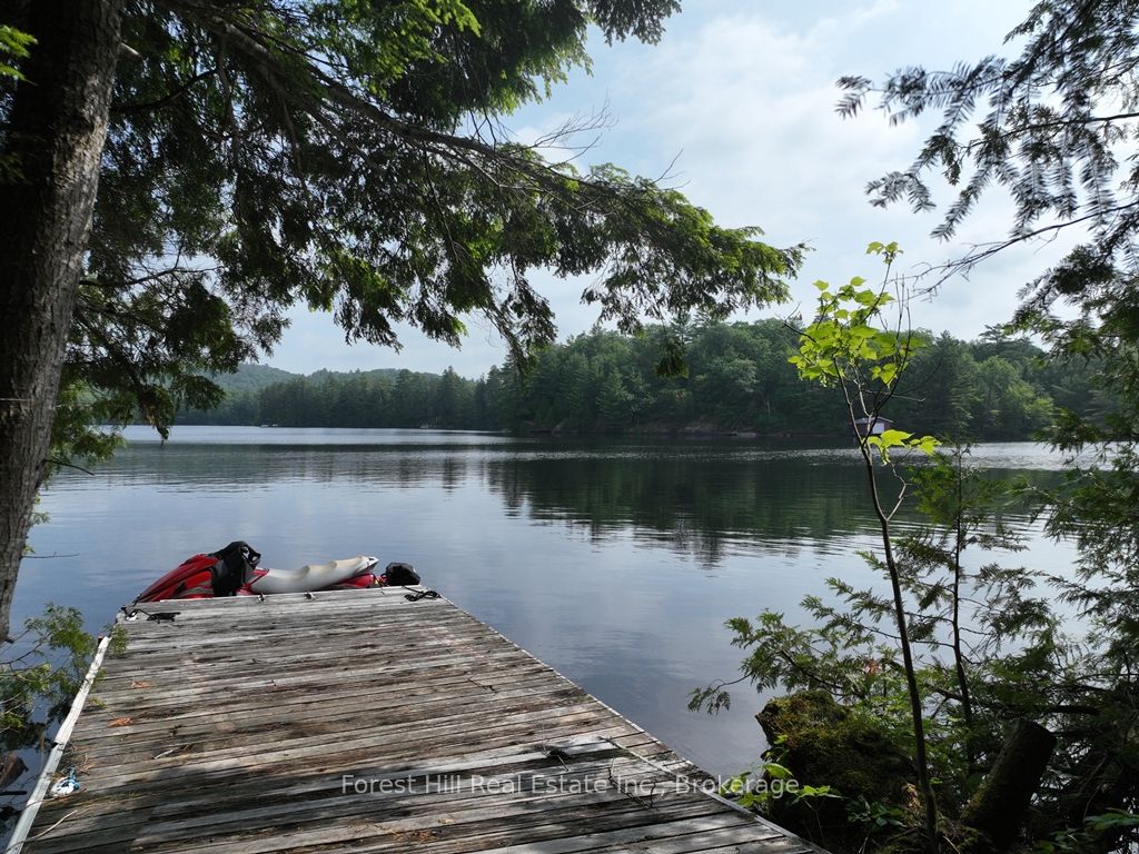 0 Alice Drive, Algonquin Highlands, ON P0A 1E0 photo 2