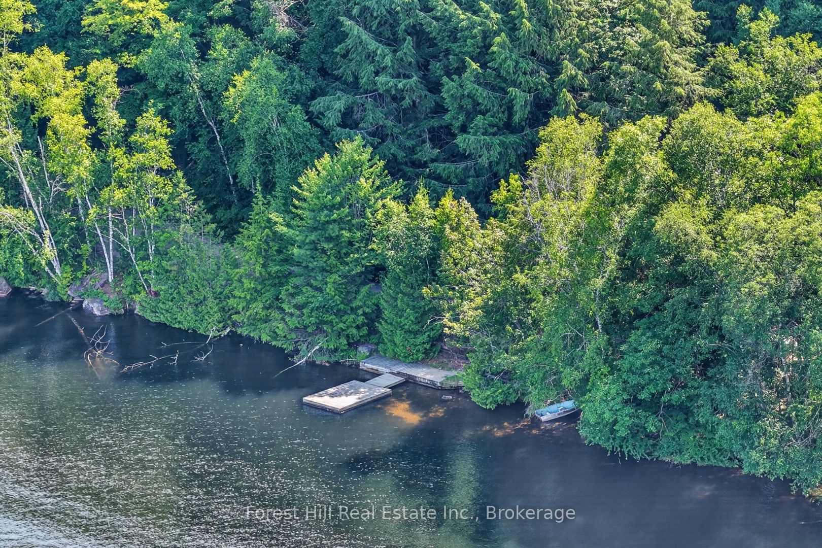 0 Alice Drive, Algonquin Highlands, ON P0A 1E0 photo 4