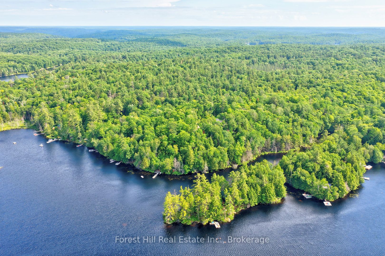 1065 Pine Lane S, Lake of Bays, ON P0A 1B0 photo 4