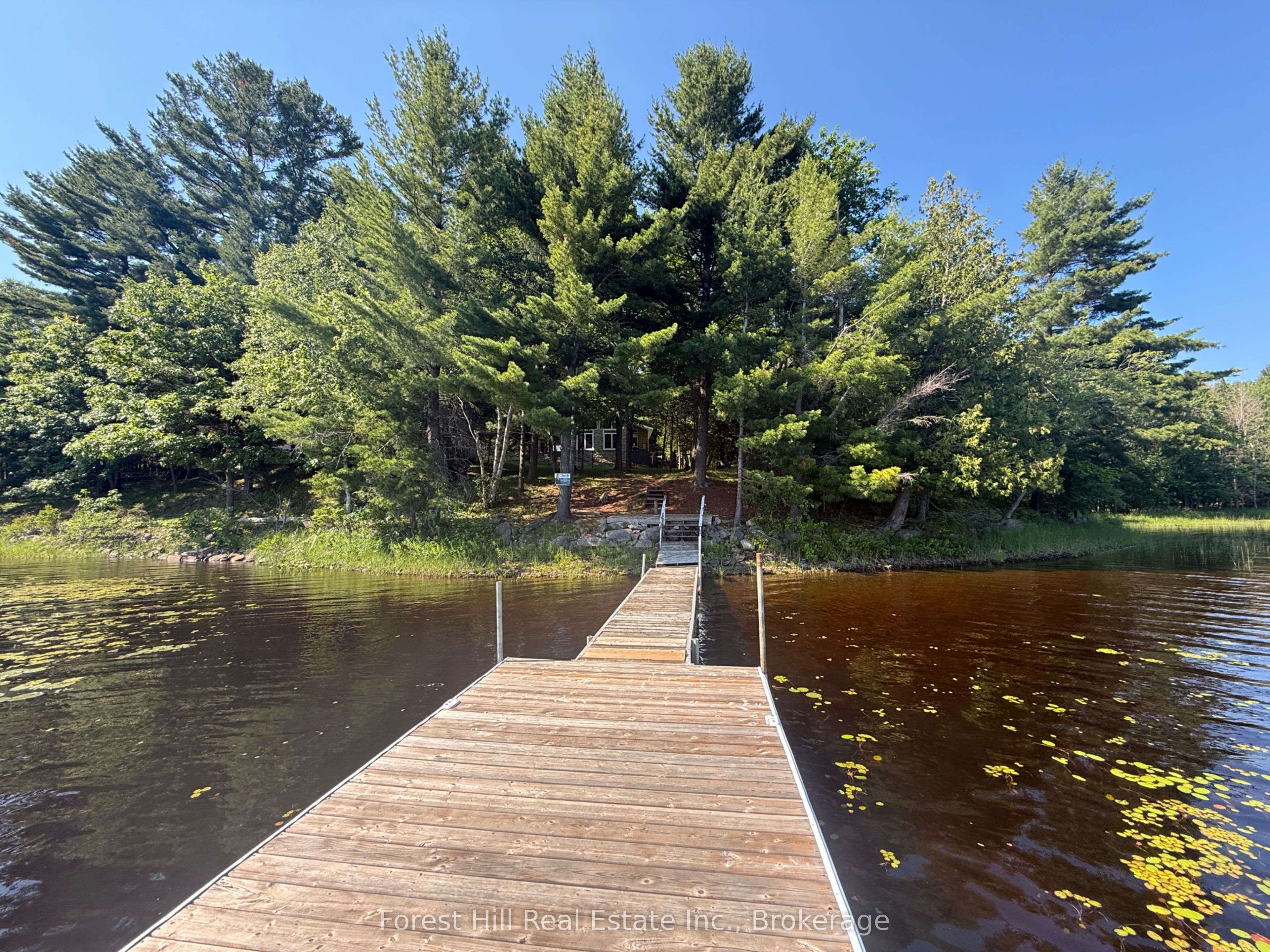 935 Limberlost Road, Parry Sound Remote Area, ON P0H 2R0 photo 3