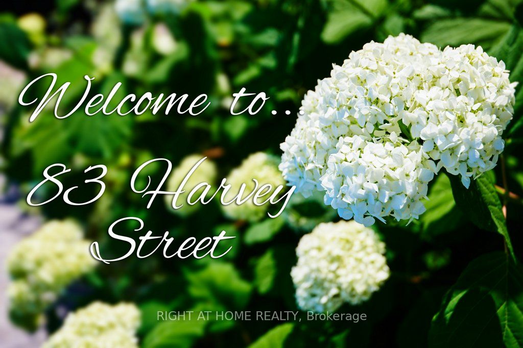 83 Harvey Street, Glebe - Ottawa East and Area, ON K1S 0A8