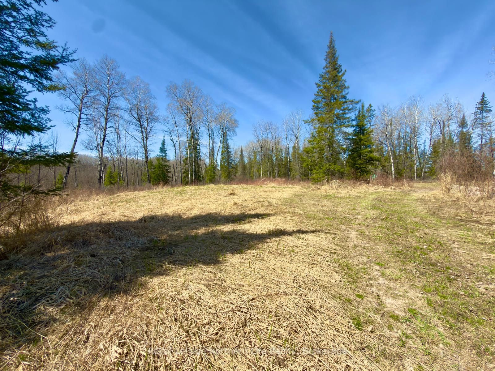 461 Alderdale Road, Chisholm, ON P0H 1B0 photo 2