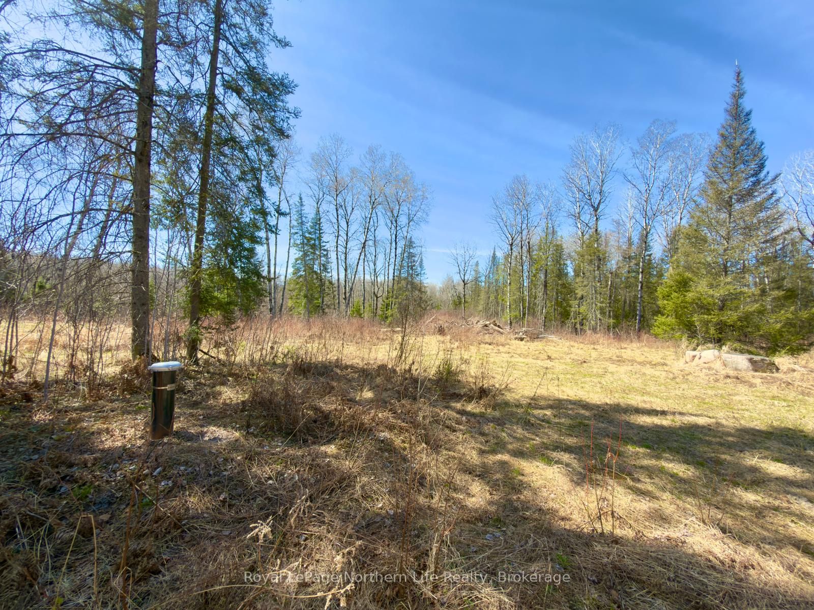 461 Alderdale Road, Chisholm, ON P0H 1B0 photo 5