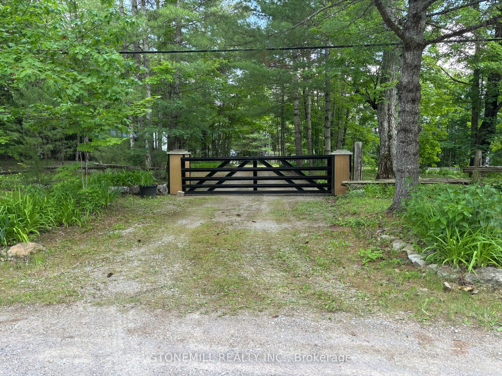 56 Griffin Drive, Kawartha Lakes, ON K0M 1K0 photo 4