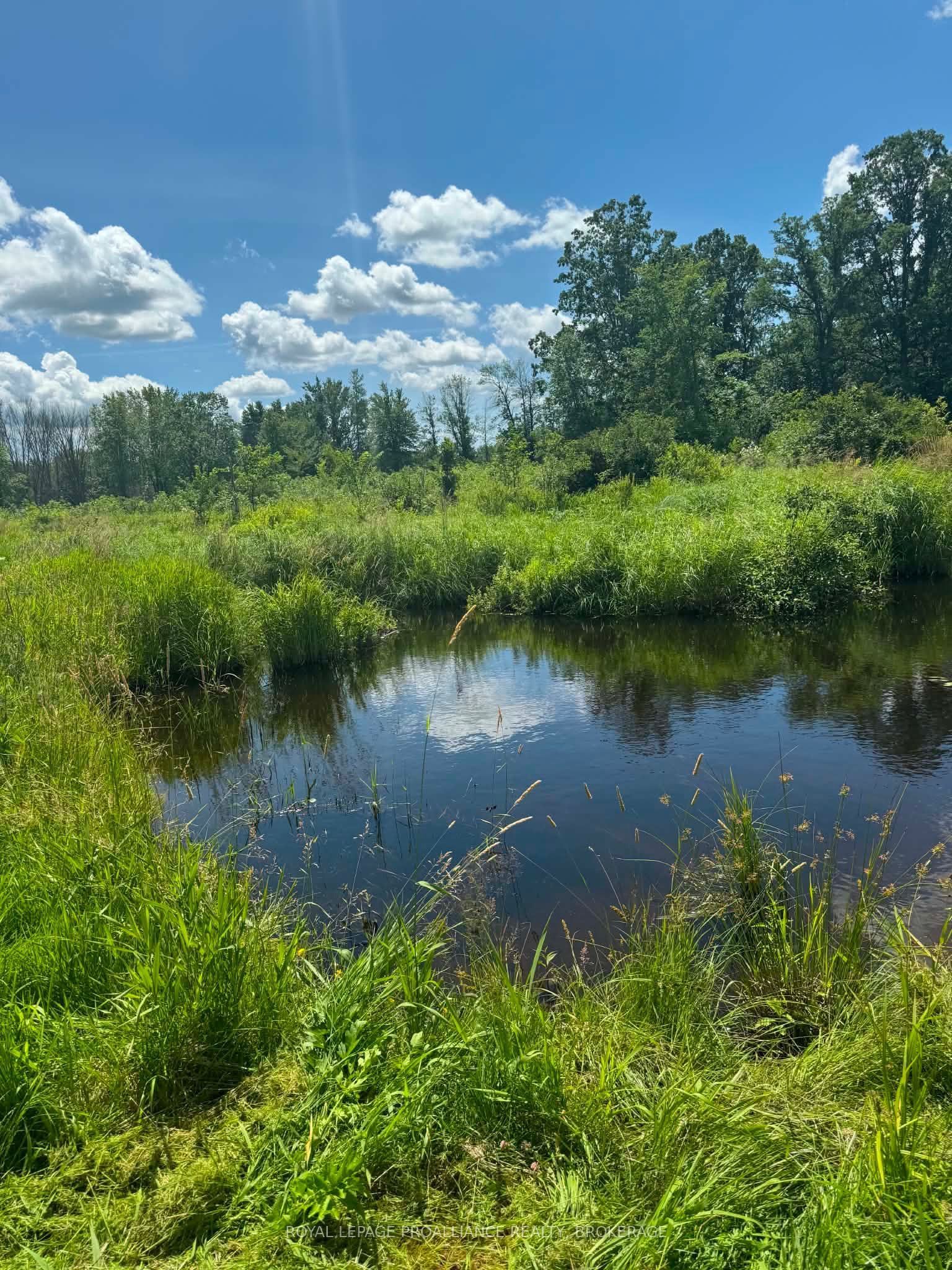 3920 County Road 14 N/A, Stone Mills, ON K0K 1Z0 photo 3