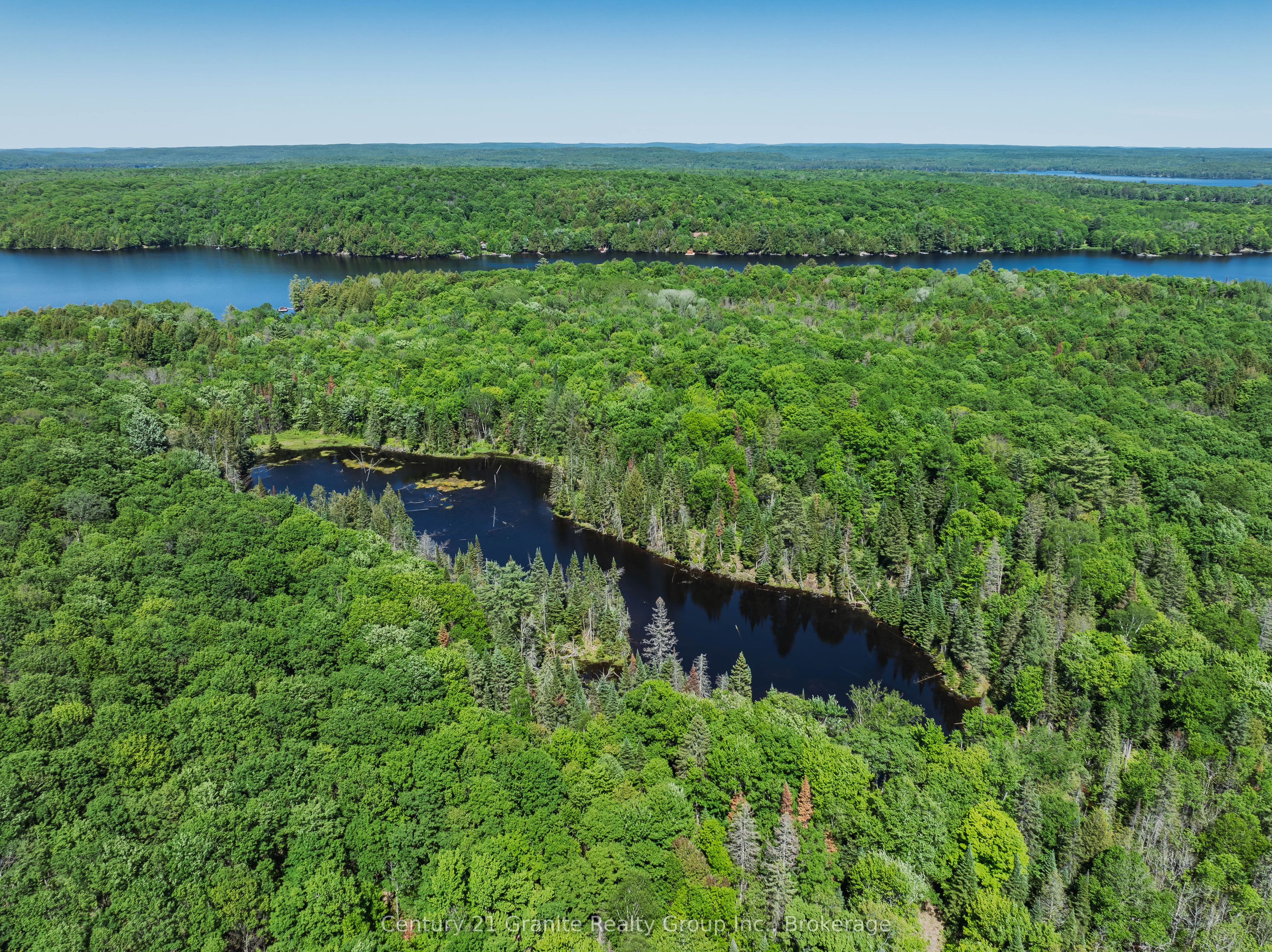 0 Kushog Lake Road, Algonquin Highlands, ON K0M 1S0 photo 5