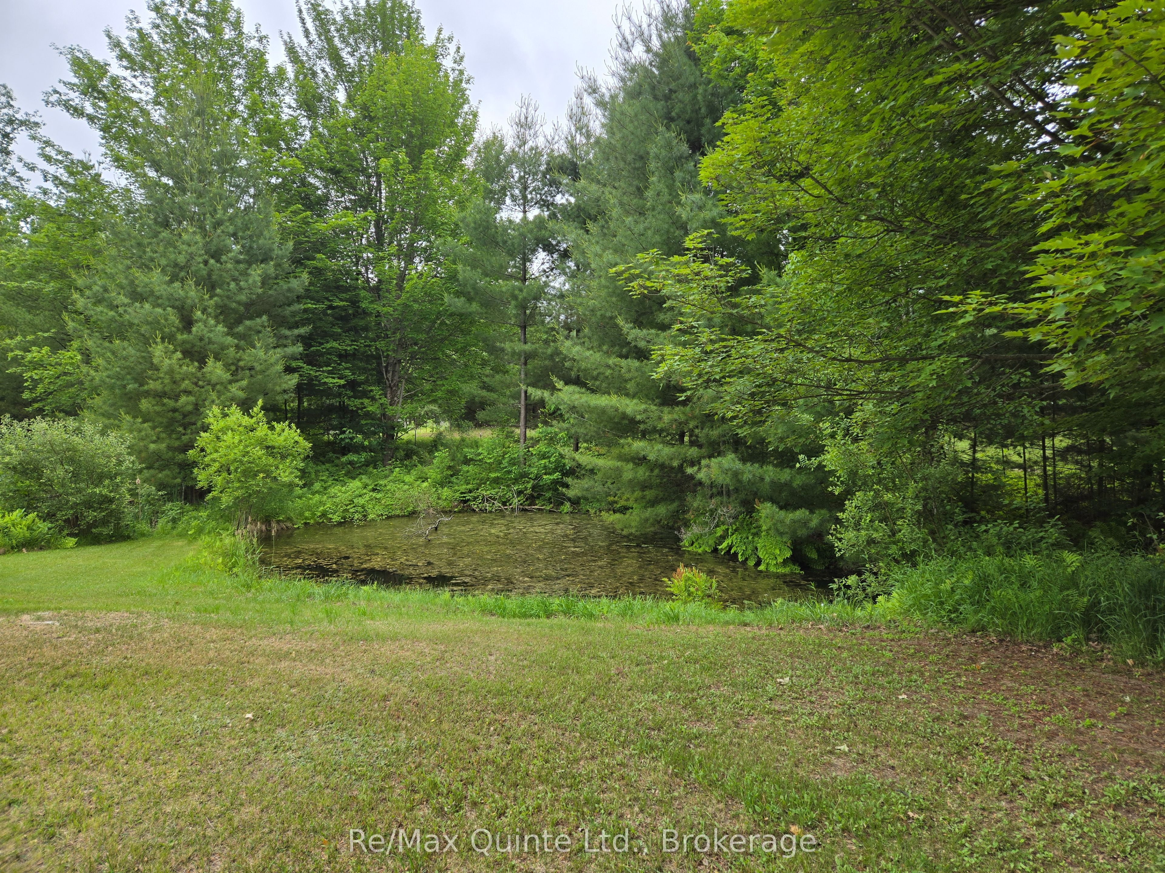 690 Potter Settlement Road, Tweed, ON K0K 3J0 photo 5