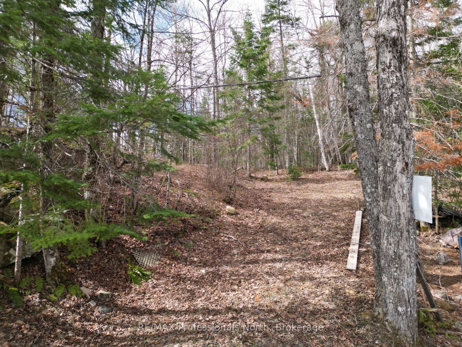 1027 Dow Trail, Dysart et al, ON K0M 1S0 photo 5