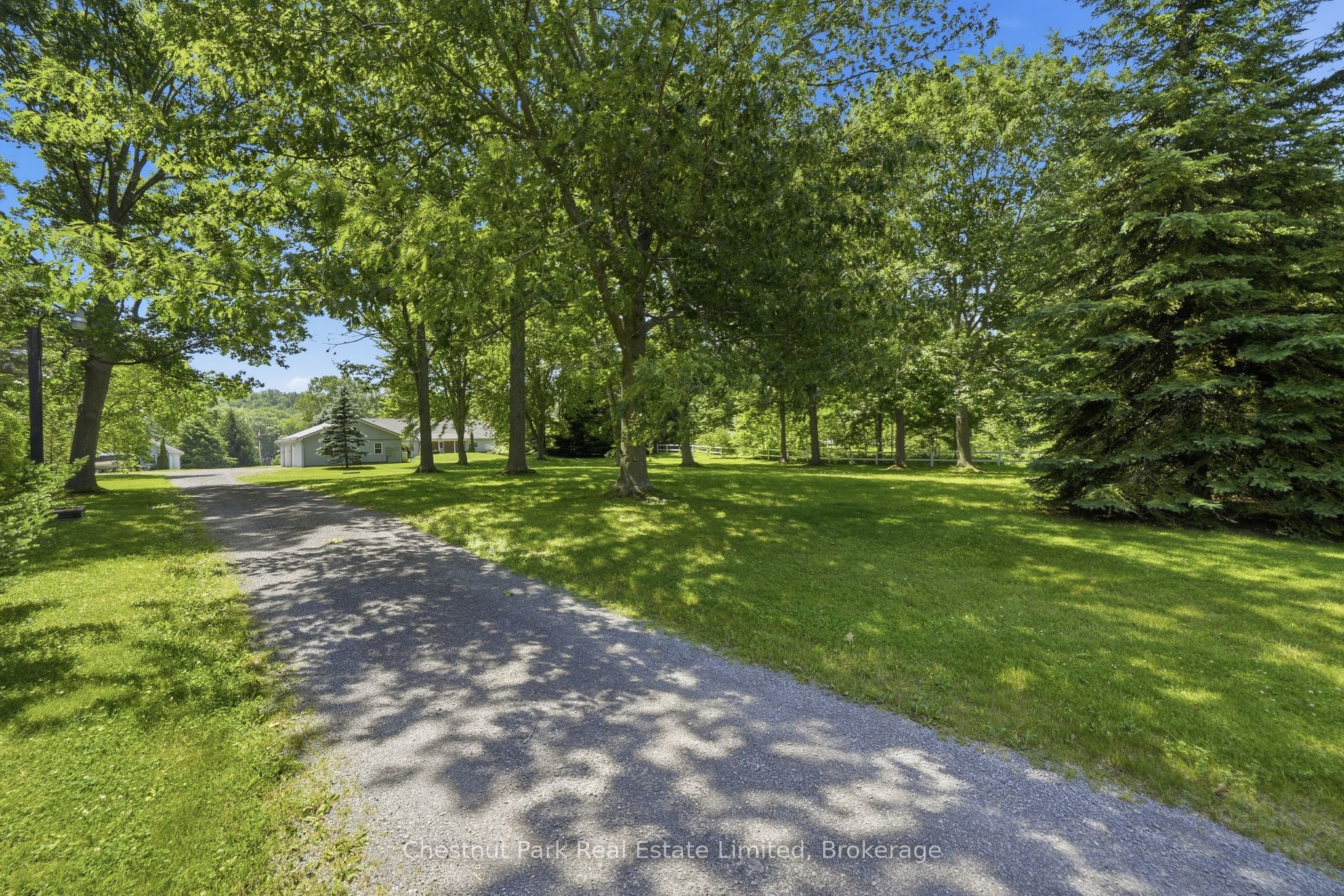 42 Morrison Point Road, Prince Edward County, ON K0K 2T0 photo 5