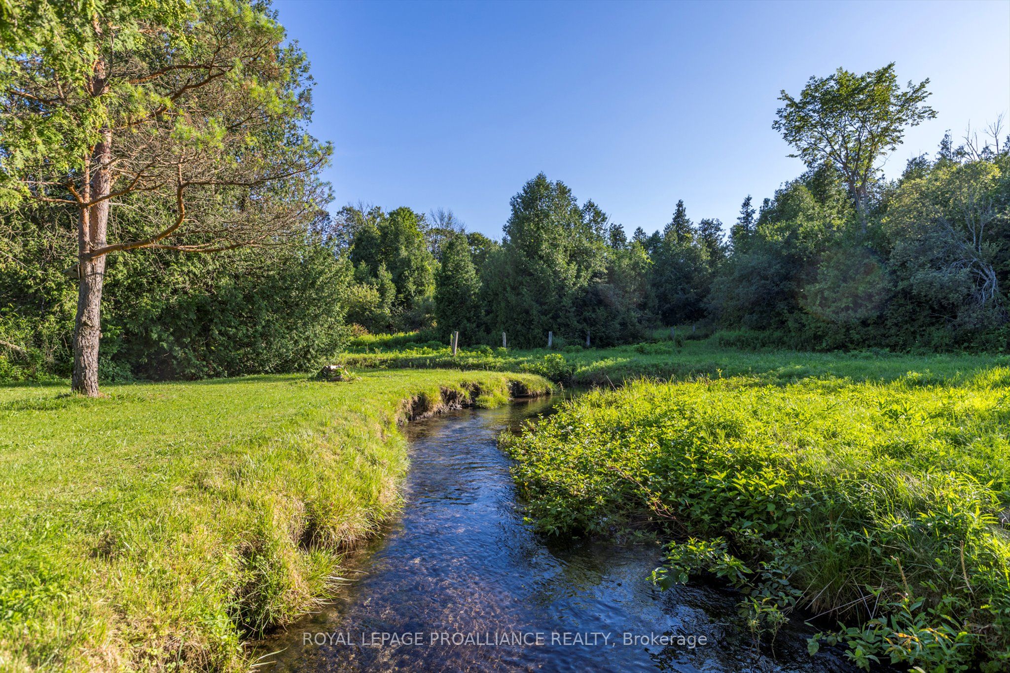 153 Boeve Lane, Alnwick/Haldimand, ON K0K 2G0 photo 5