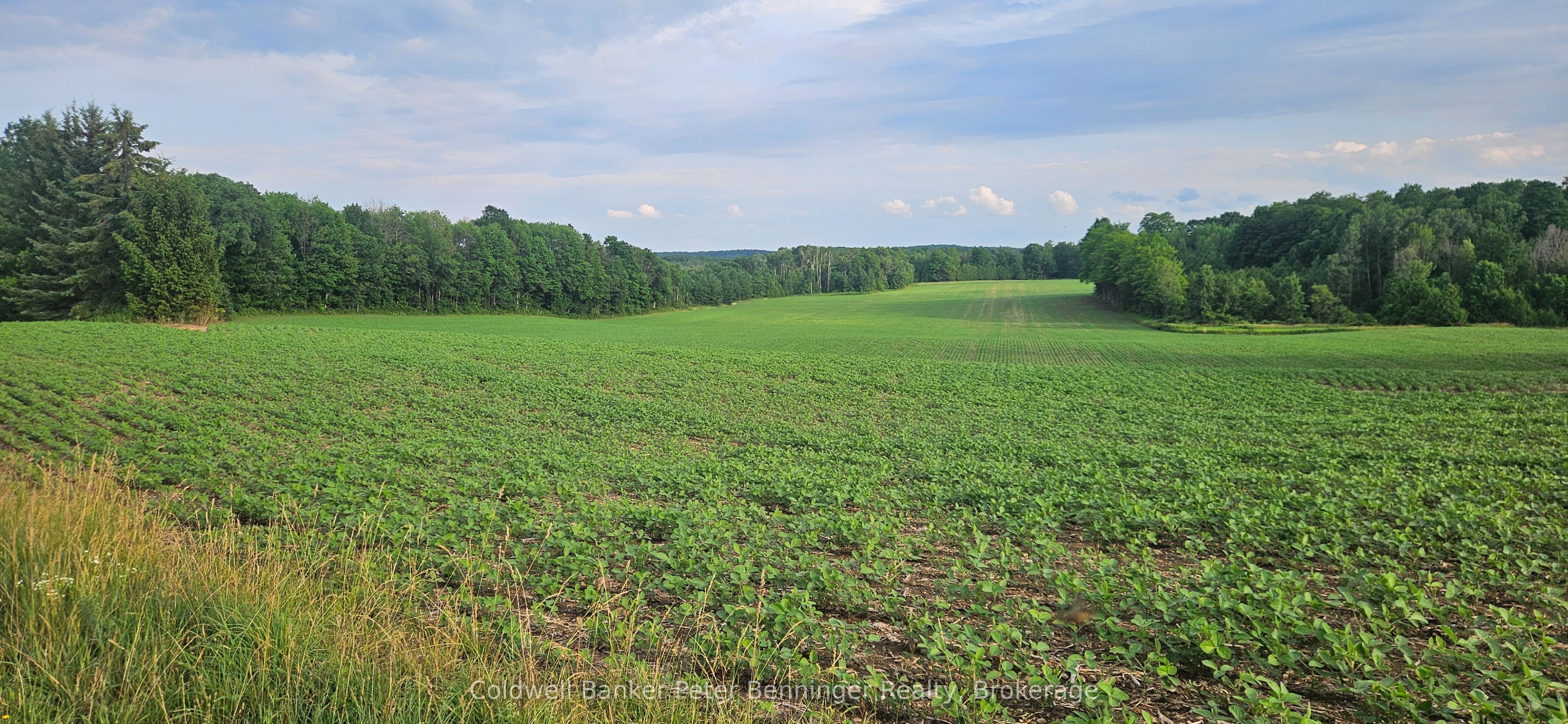 521268 Concession 12 N, West Grey, ON N0G 1S0