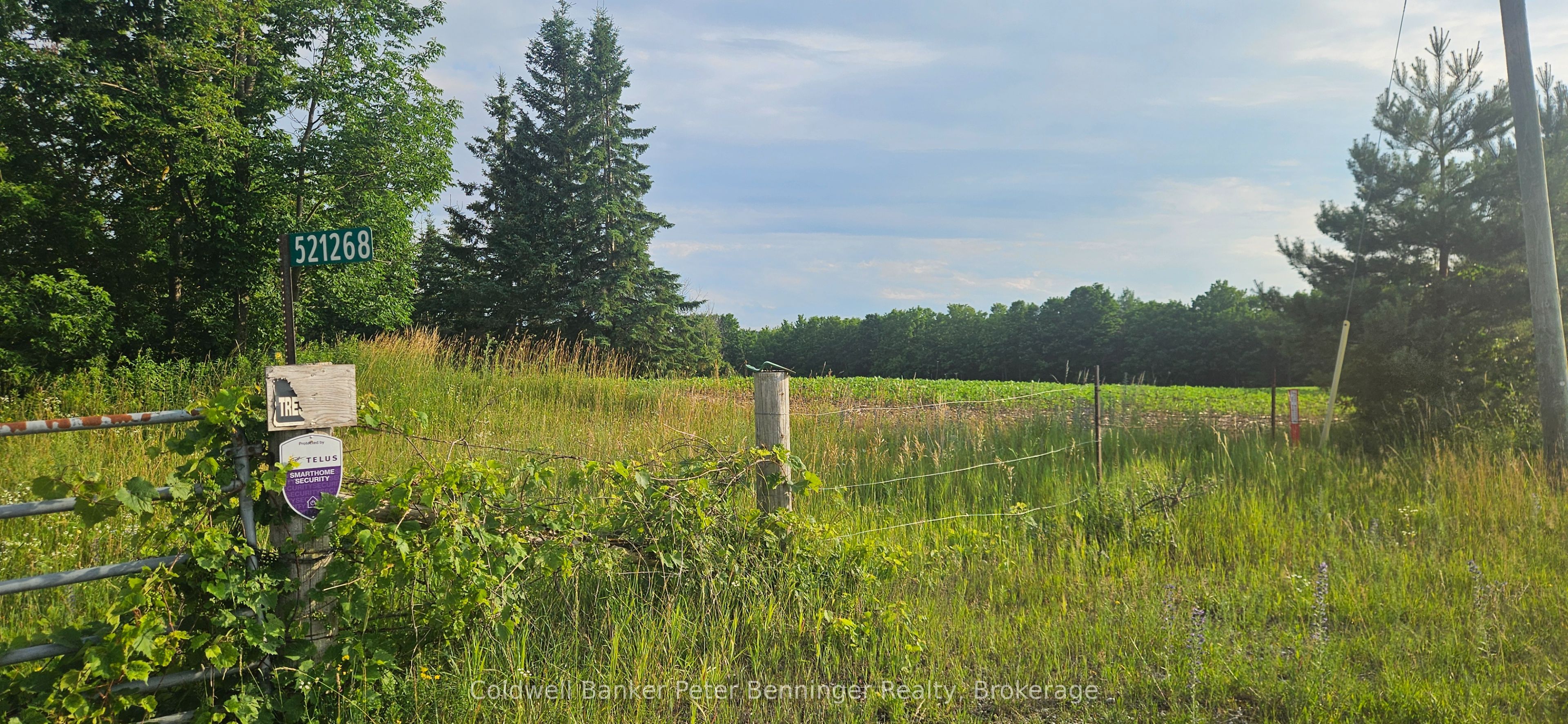 521268 Concession 12 N, West Grey, ON N0G 1S0 photo 2