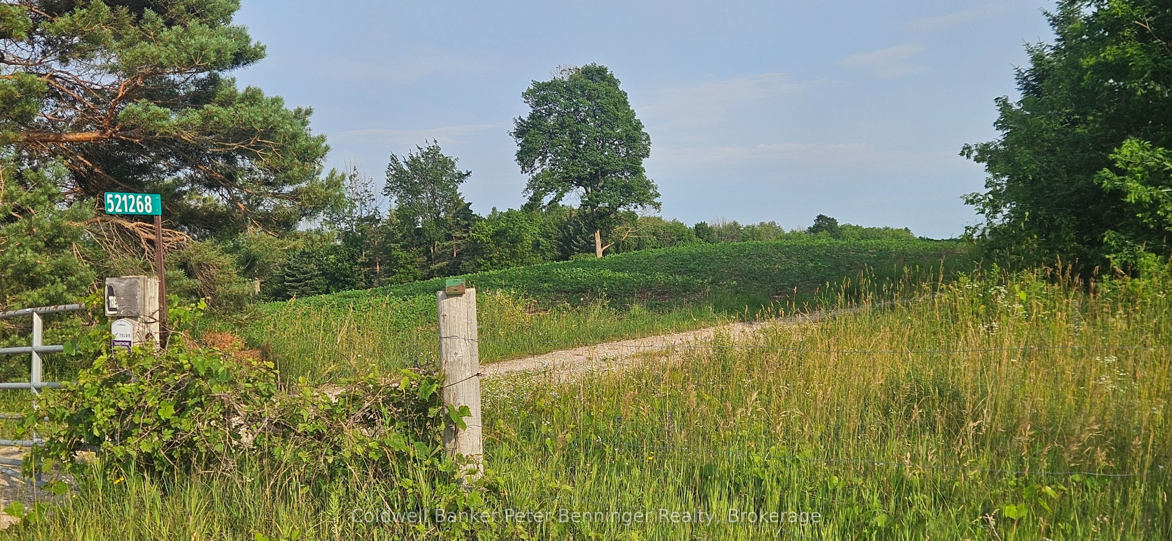 521268 Concession 12 N, West Grey, ON N0G 1S0 photo 3