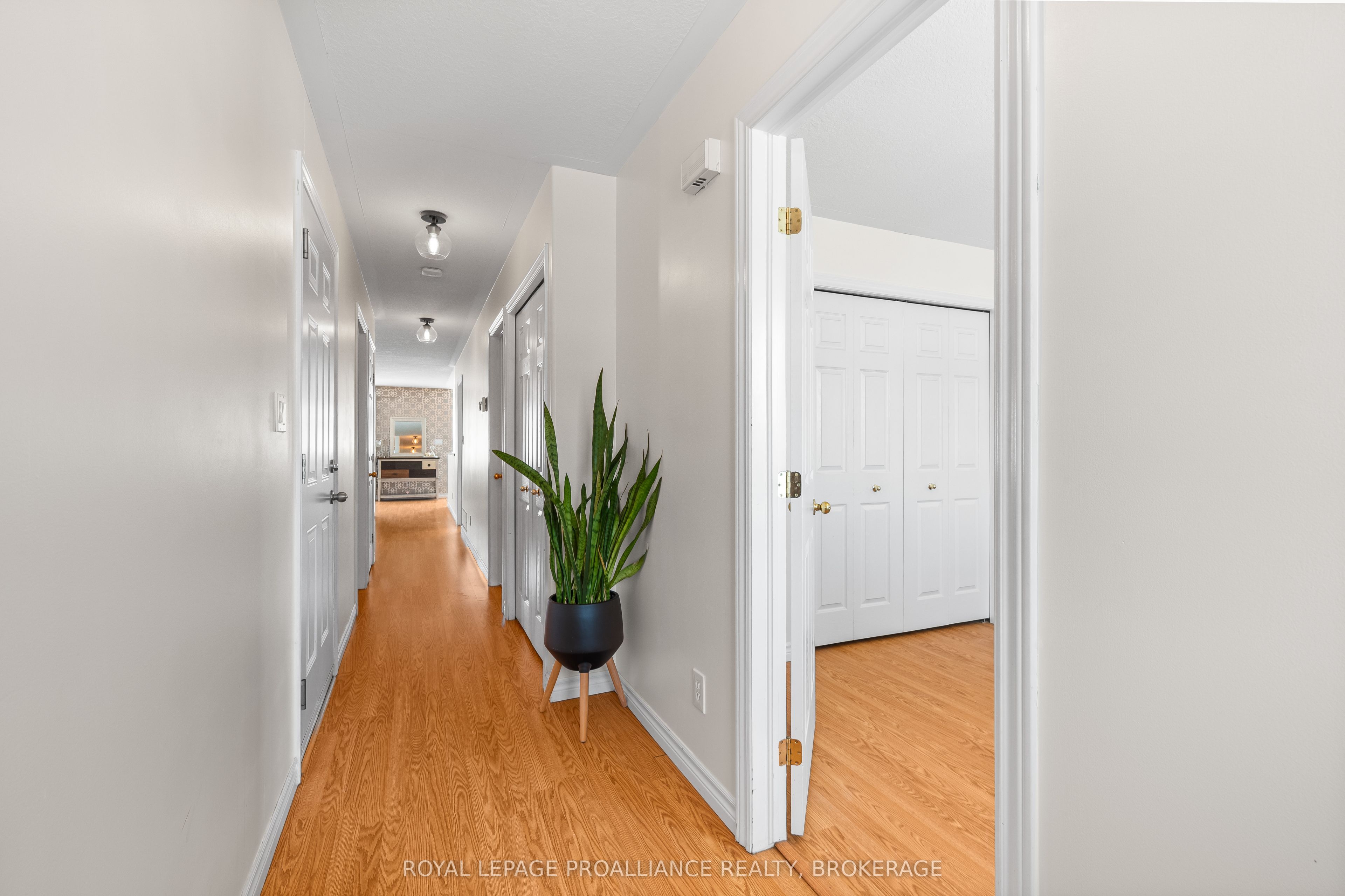 51 Wiley Street, Kingston, ON K7K 5B3 photo 4